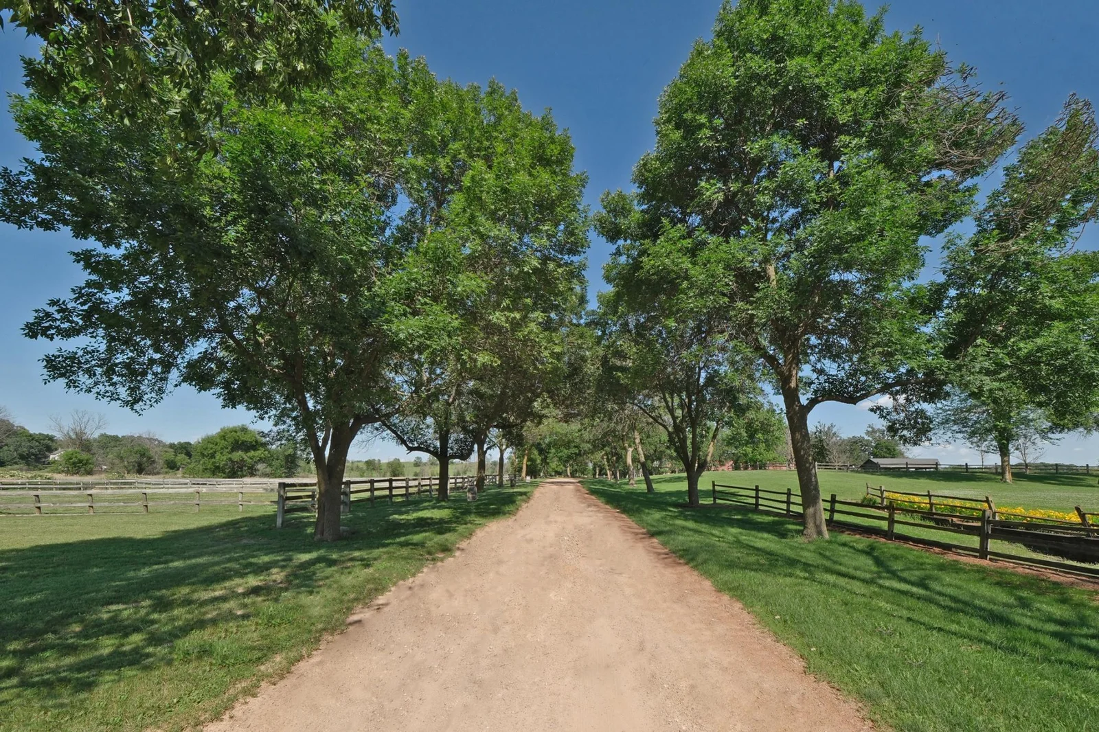 Long tree-lined private driveway