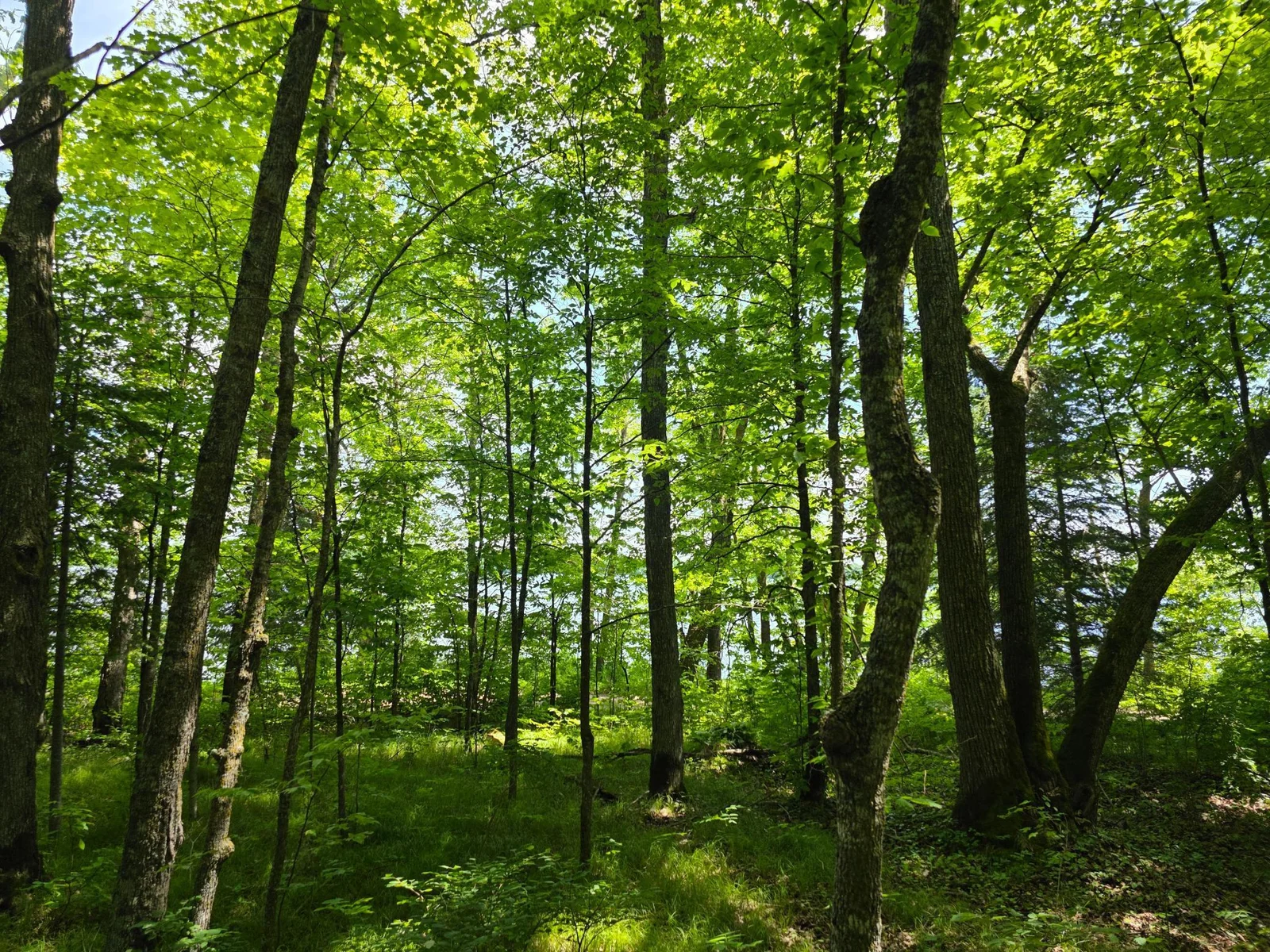 20250628_134737.jpg