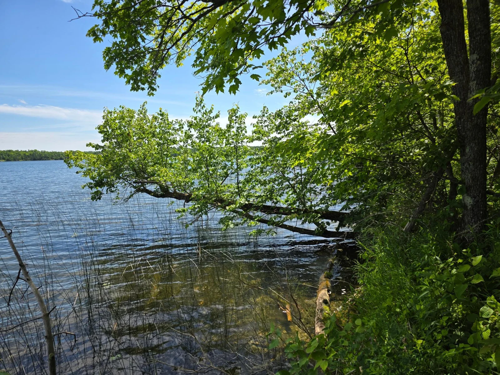 20250628_134503.jpg
