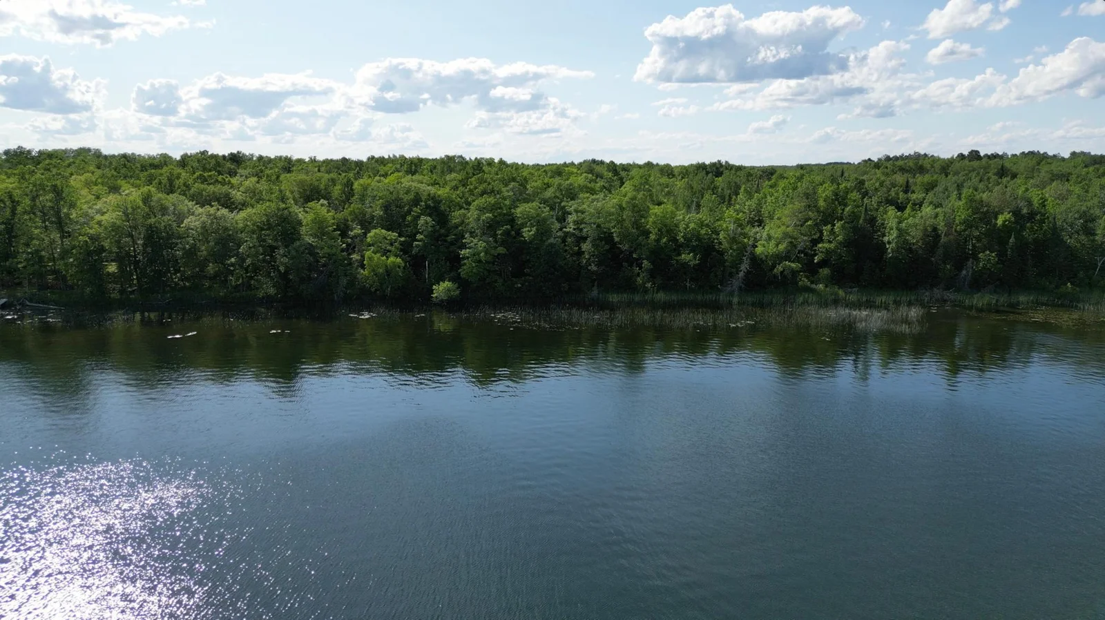 Photo 1 of Moose Lake