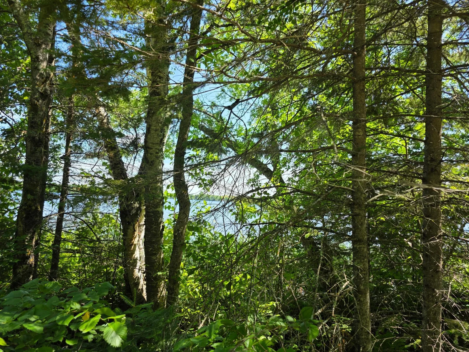 20250628_141103.jpg