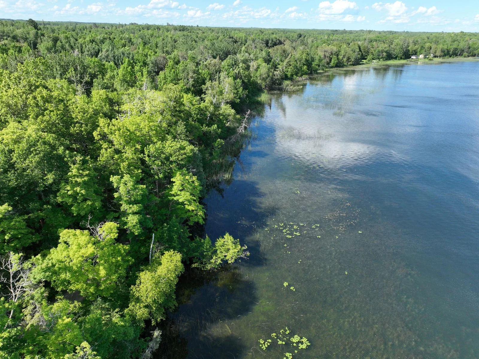 DJI_0402.JPG