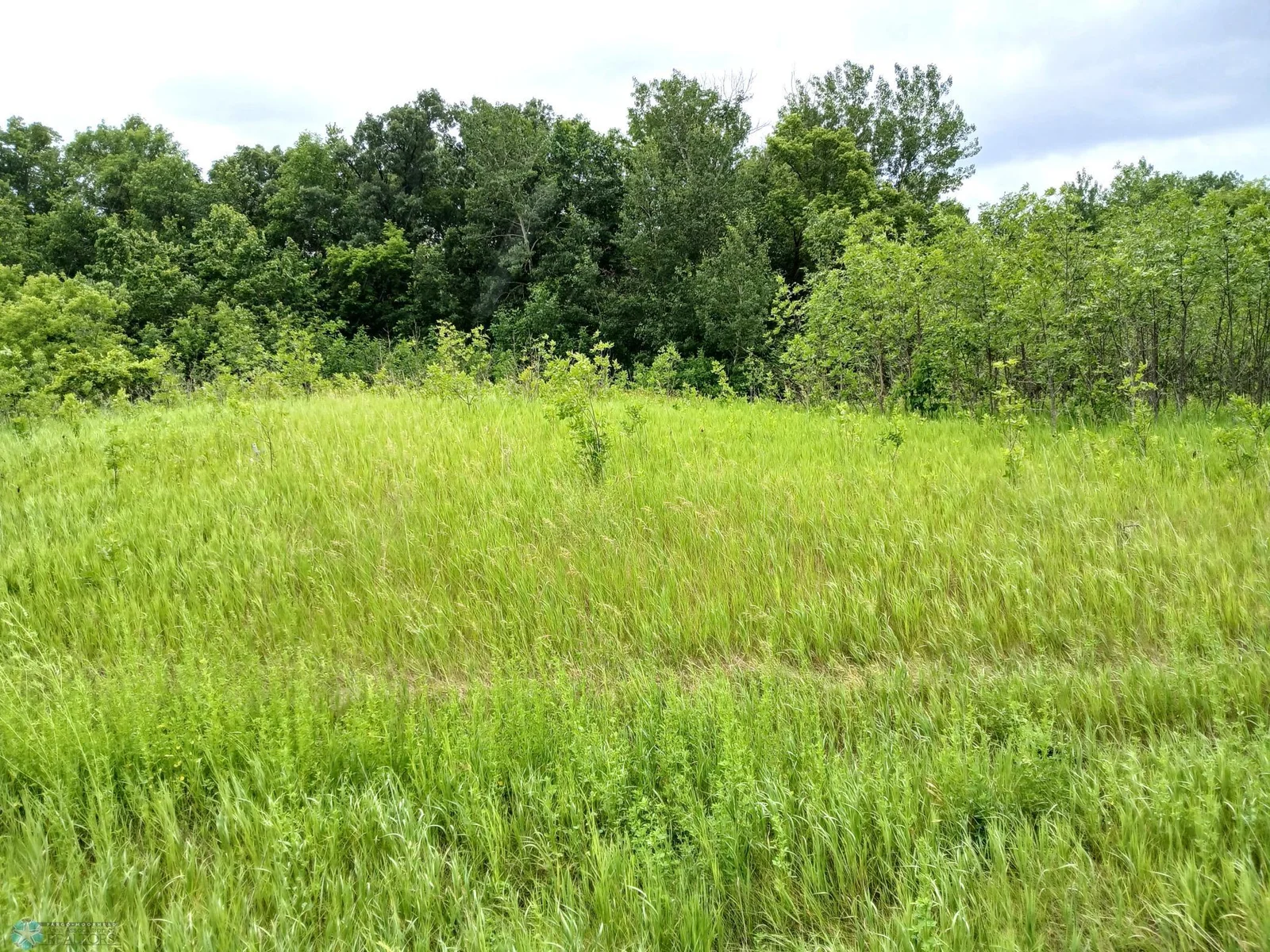 20250630_133537.jpg