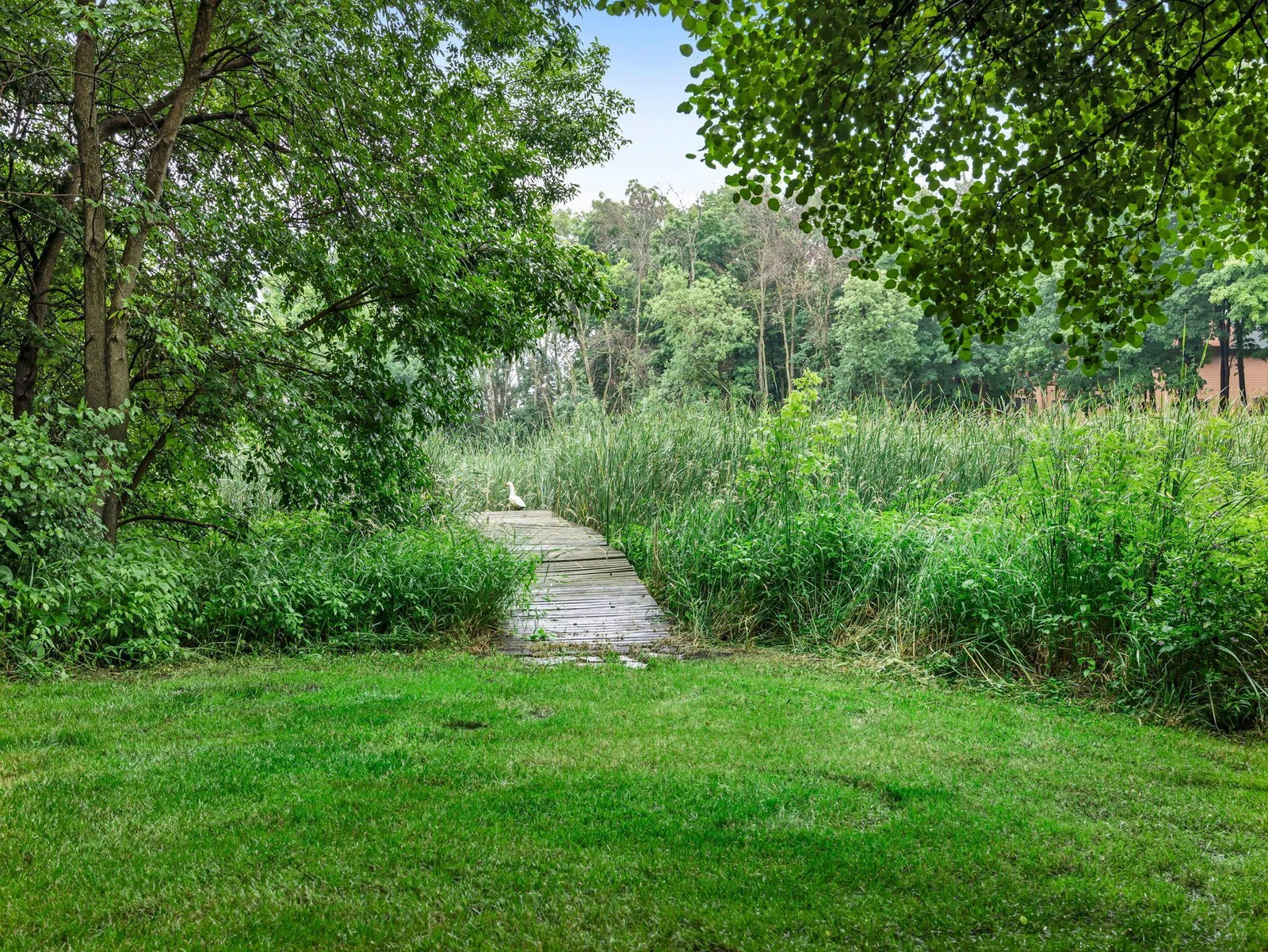 61-web-or-mls-2425 Peace Cir-60.jpg