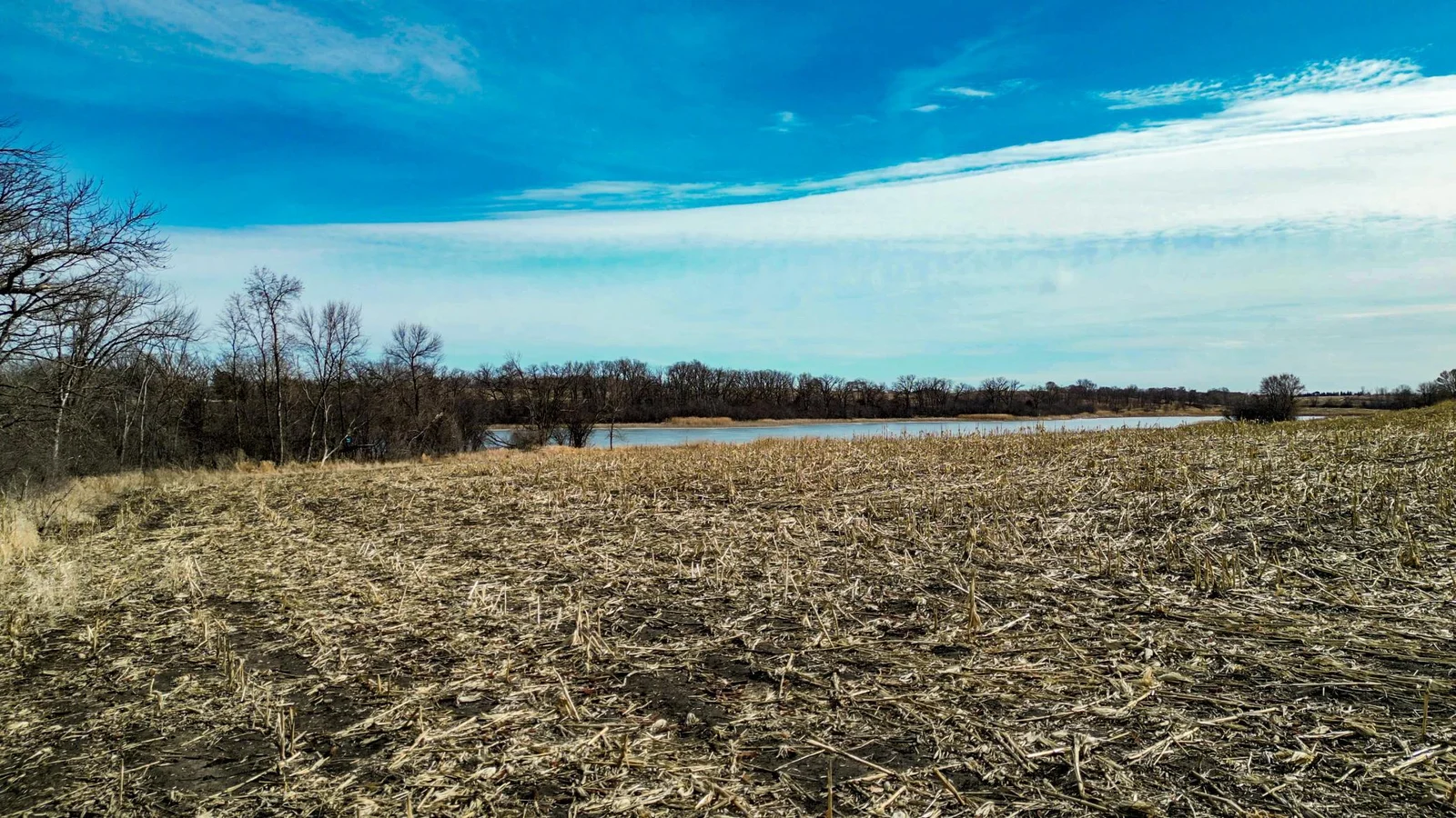 Co Hwy 83, Battle Lake, MN 56515 (39).jpg