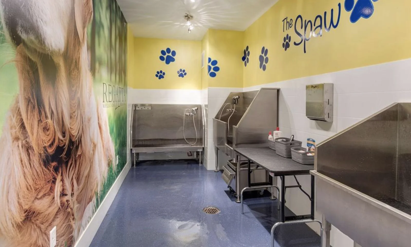 Community pet washing station