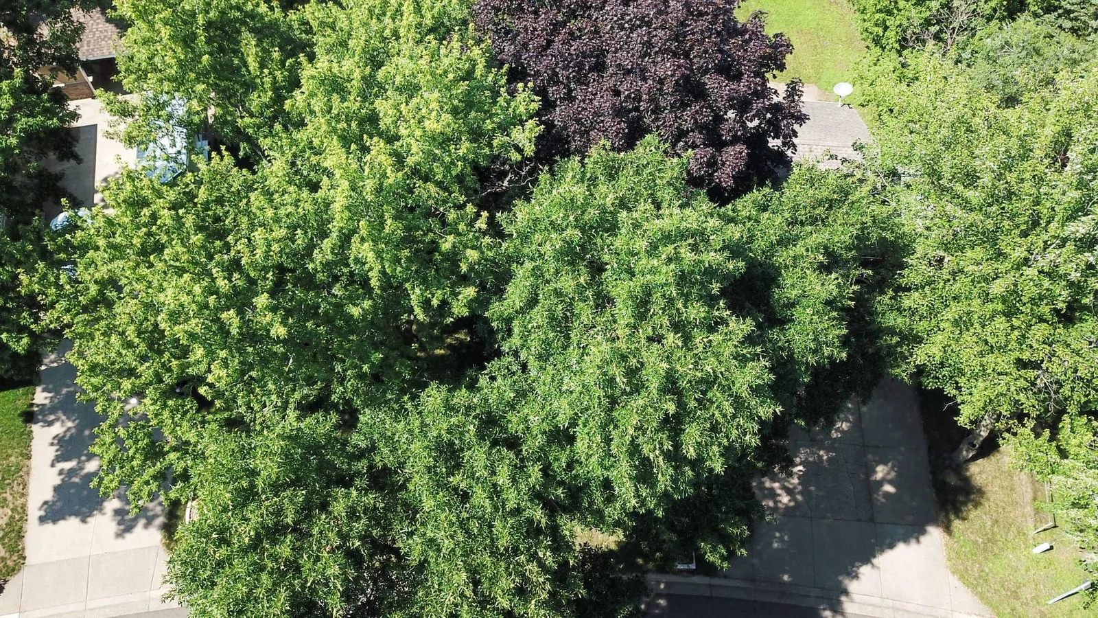 DJI_0005.jpg