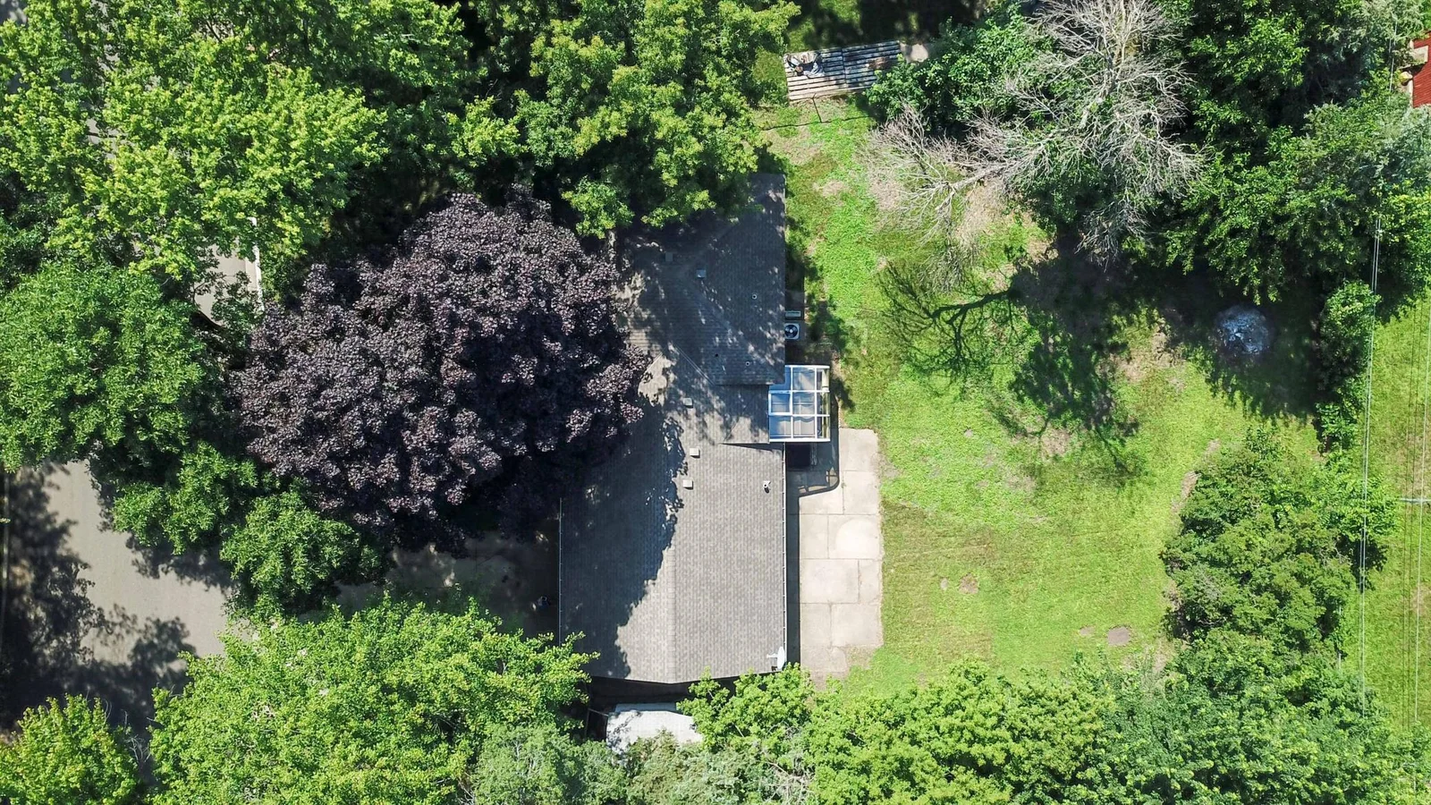 DJI_0008.jpg