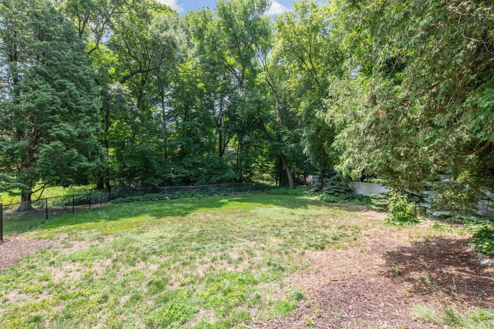 Lots of space to run and play in the back fenced yard