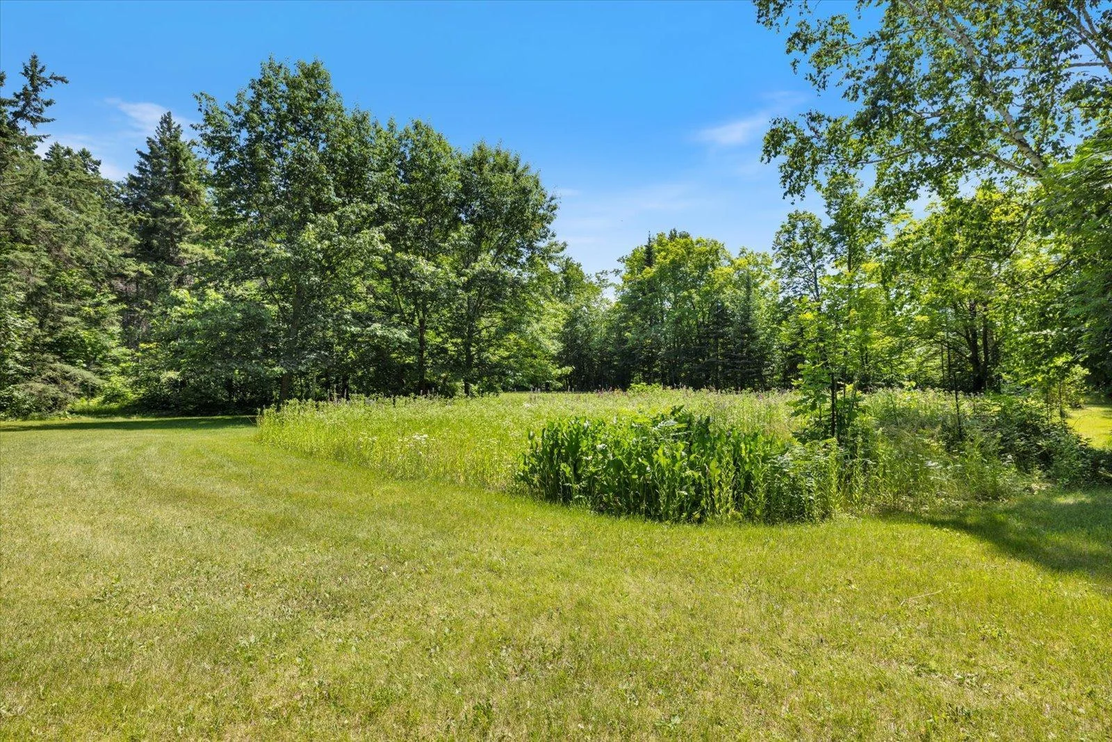 37418 County Road 19