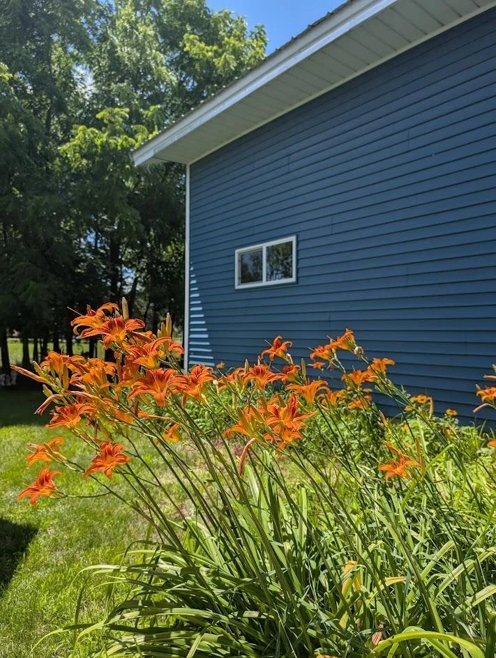 landscaping.jpg