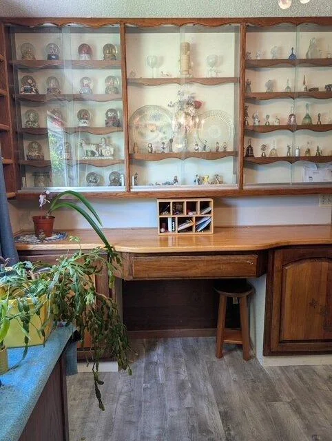 Dining Room built-in's
