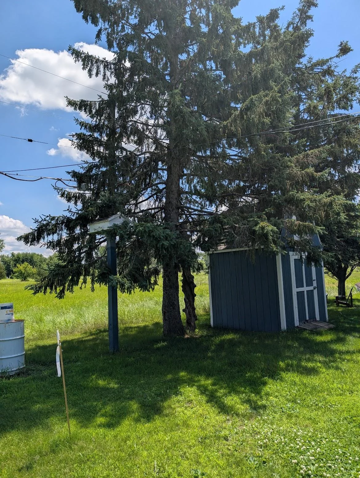 Backyard storage shed