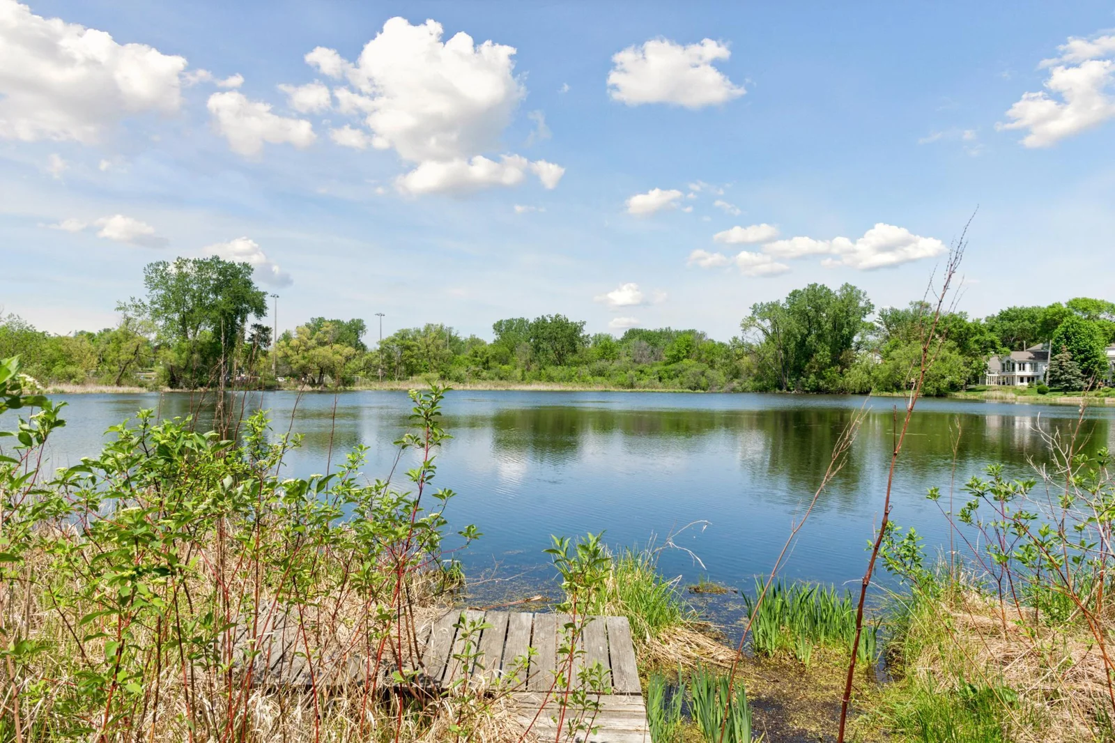 Best lot on Pamela Pond, a must see to believe. Lot lines are approximate, view county website for more details.