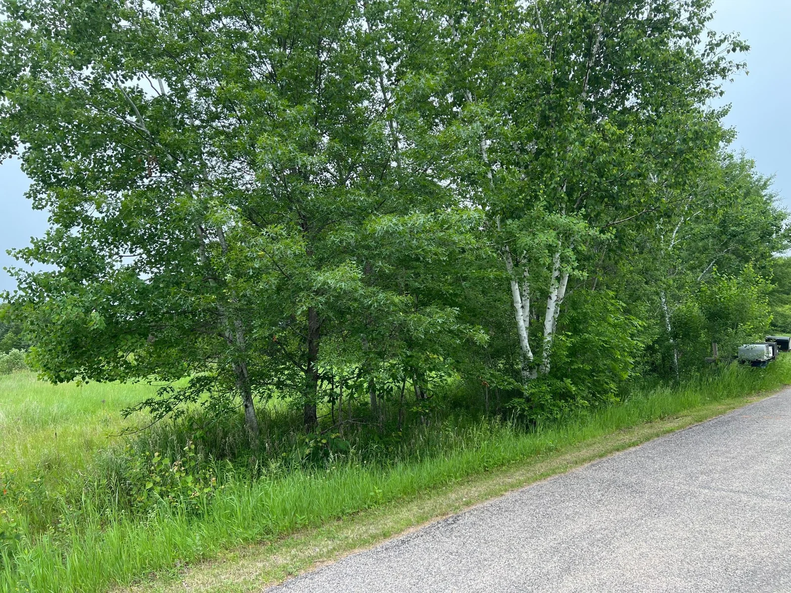 Thumbnail photo 19