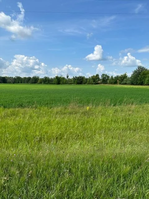 Photo 1 of Sorteberg Drive
