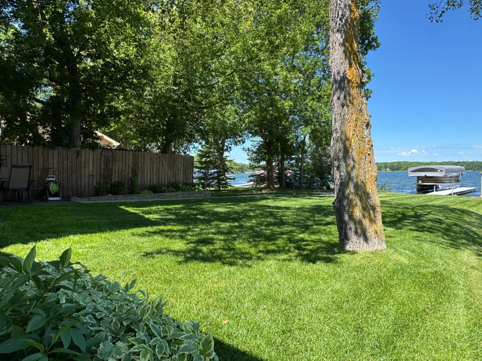Yard