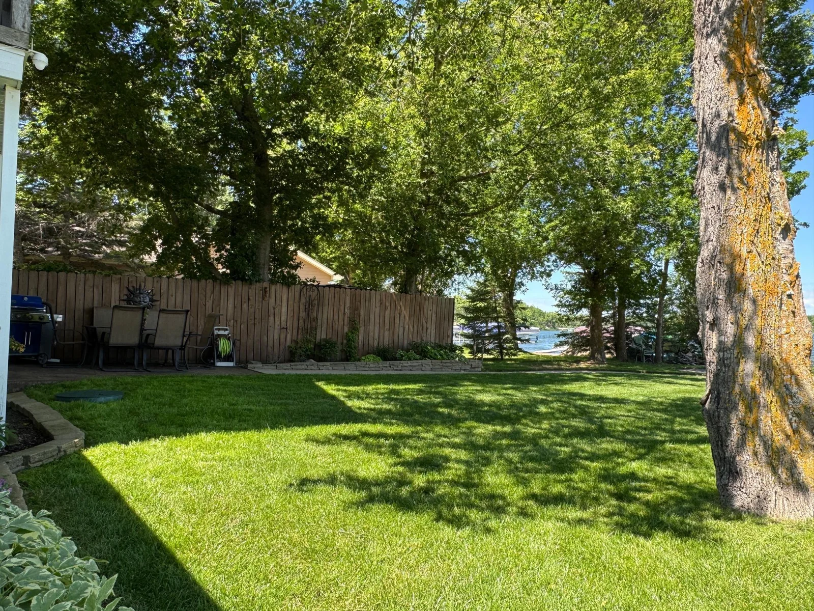 Yard