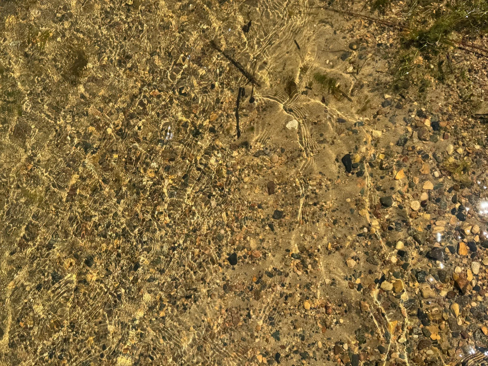 Lake bottom