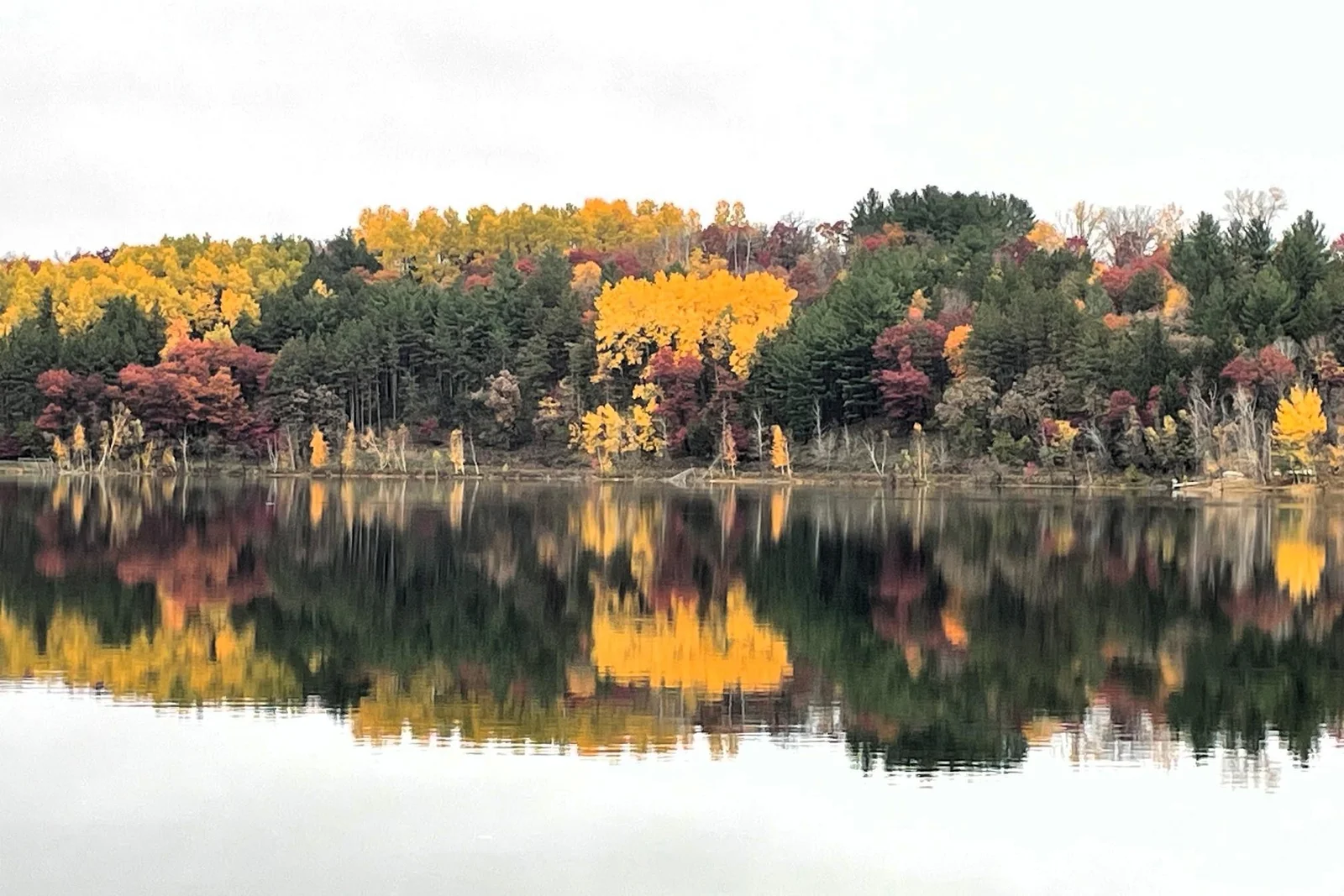 Beautiful fall colors