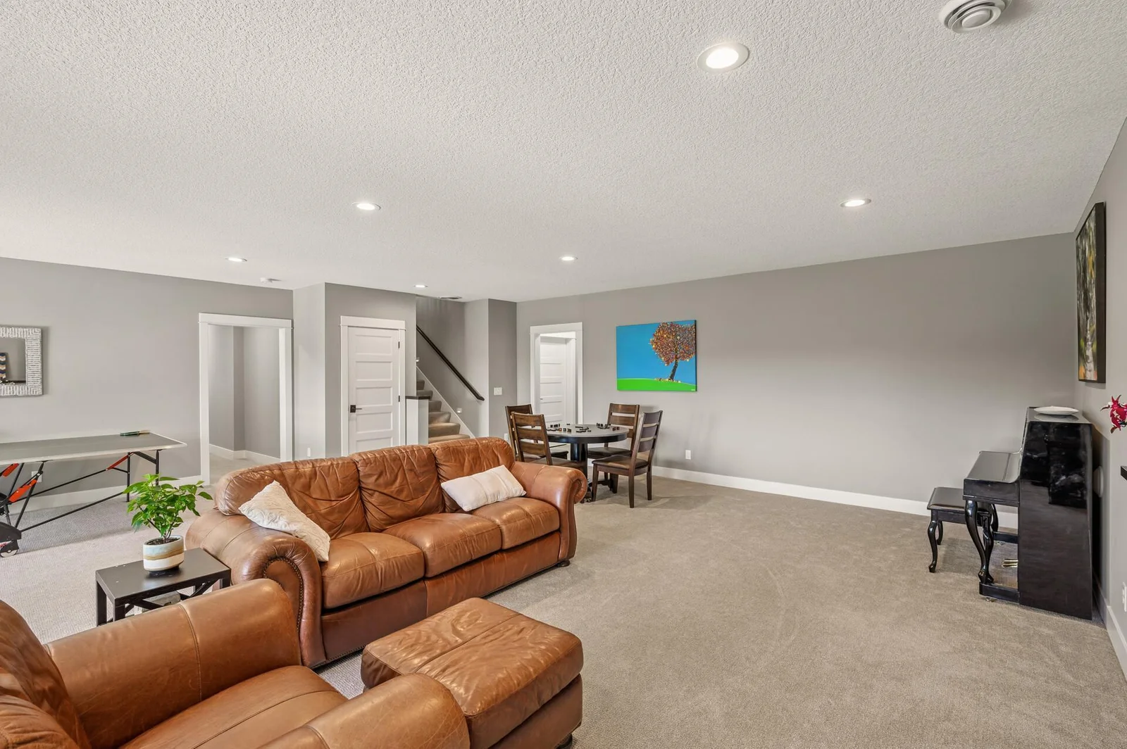 Lower level family room