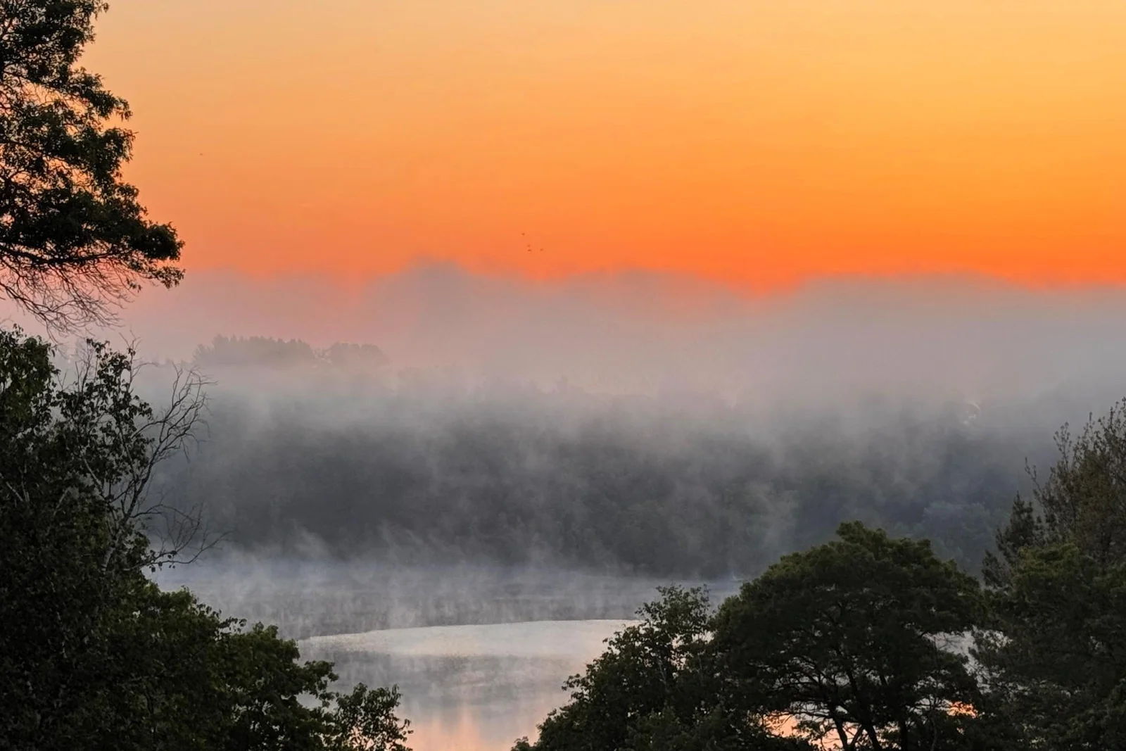 Morning mist over the lake