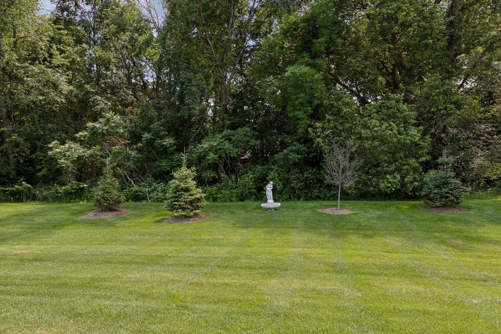 View of trees from the edge of your future patio.