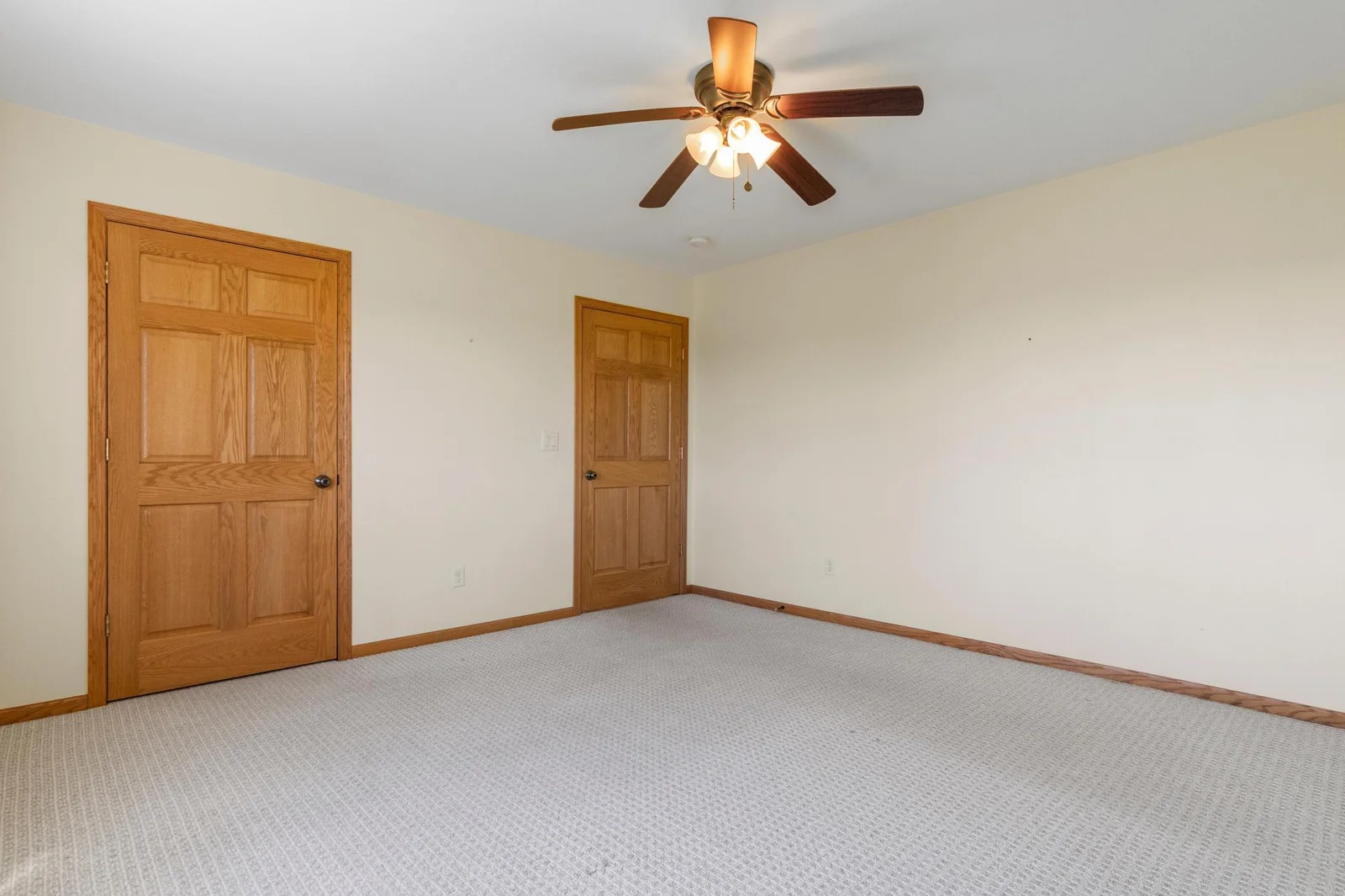 114 8th St S-6 panel doors