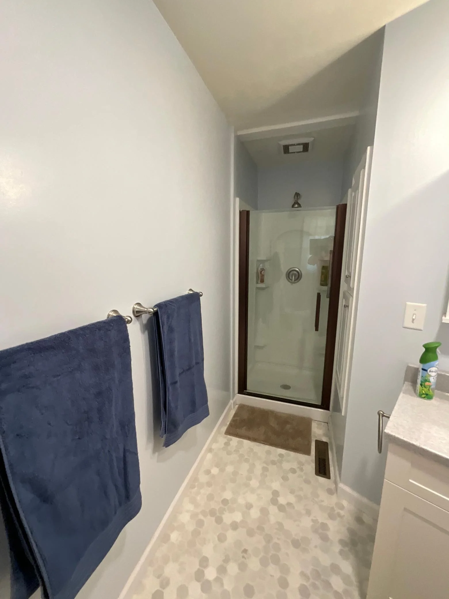 Master Shower