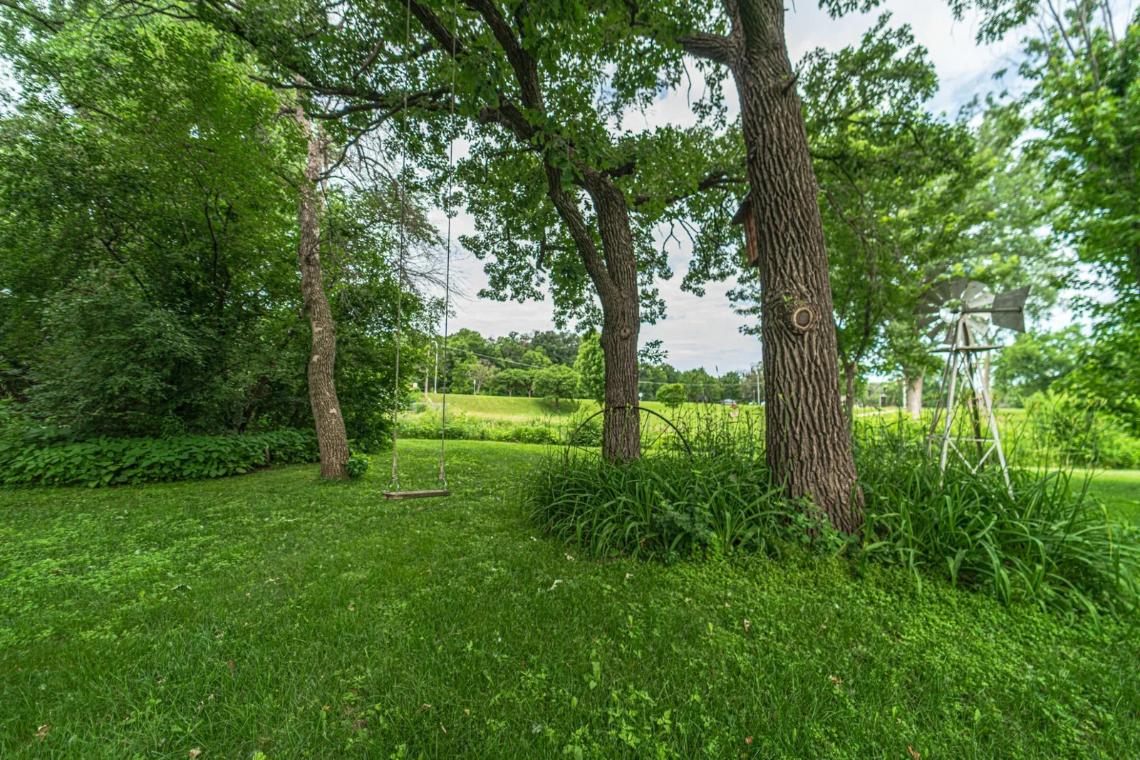 11-Backyard.jpg