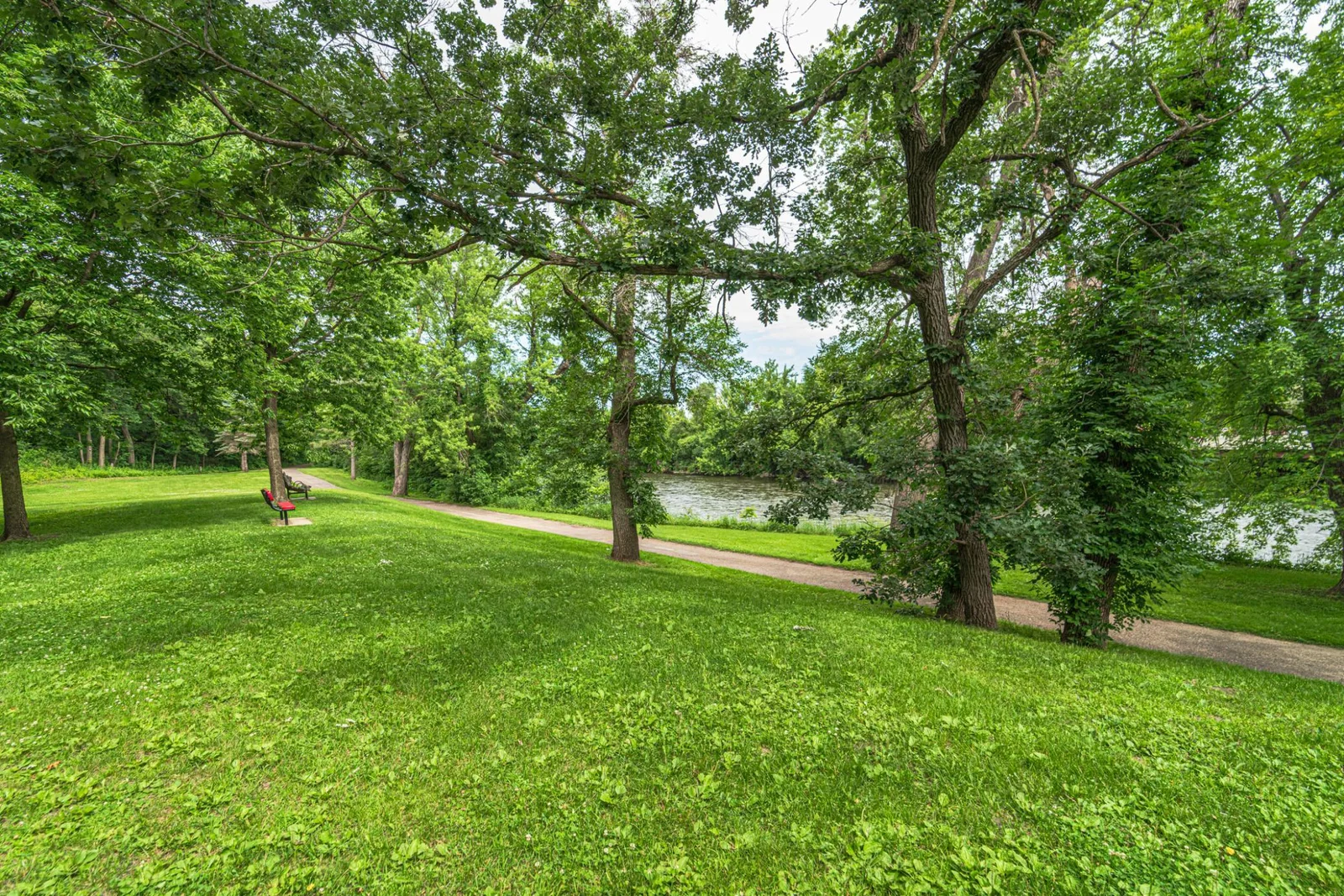 56-Local Park.jpg