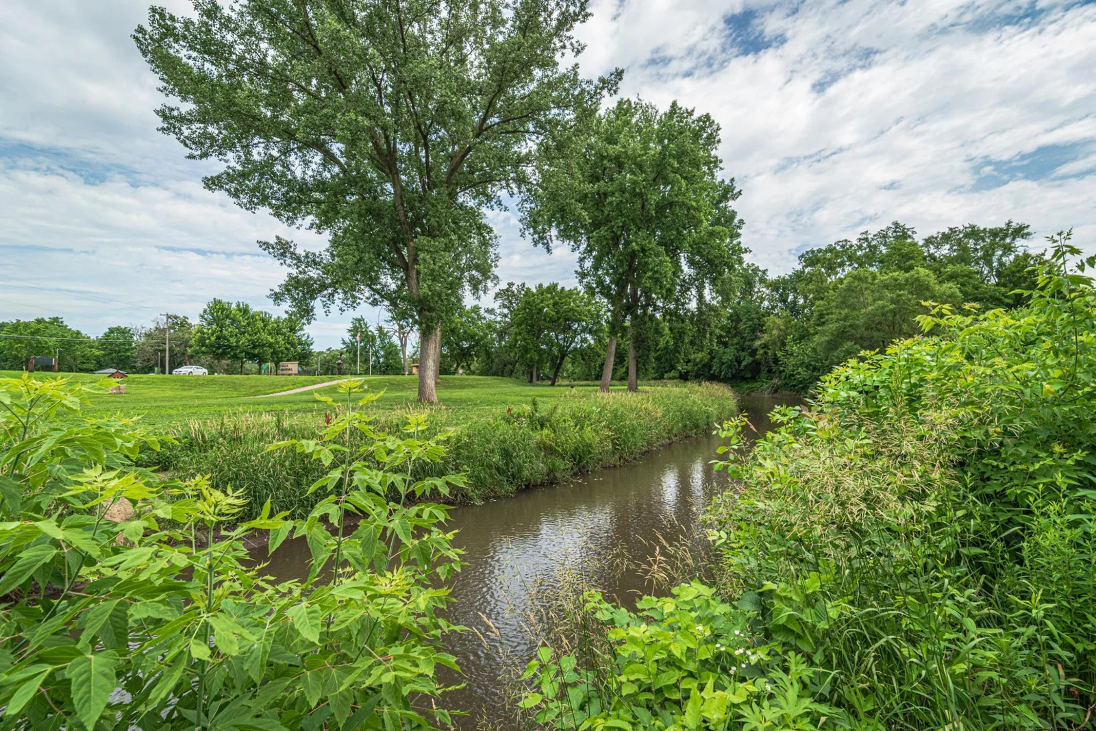 14-Backyard View.jpg