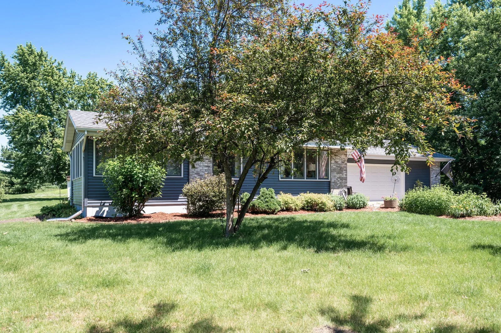 Front yard with Apple trees