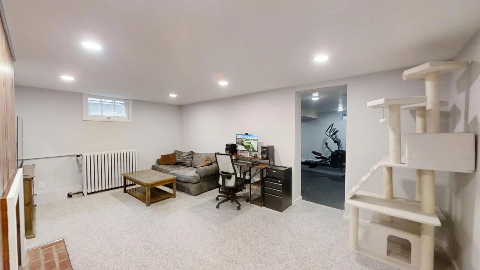 LOWER LEVEL FAMILY ROOM