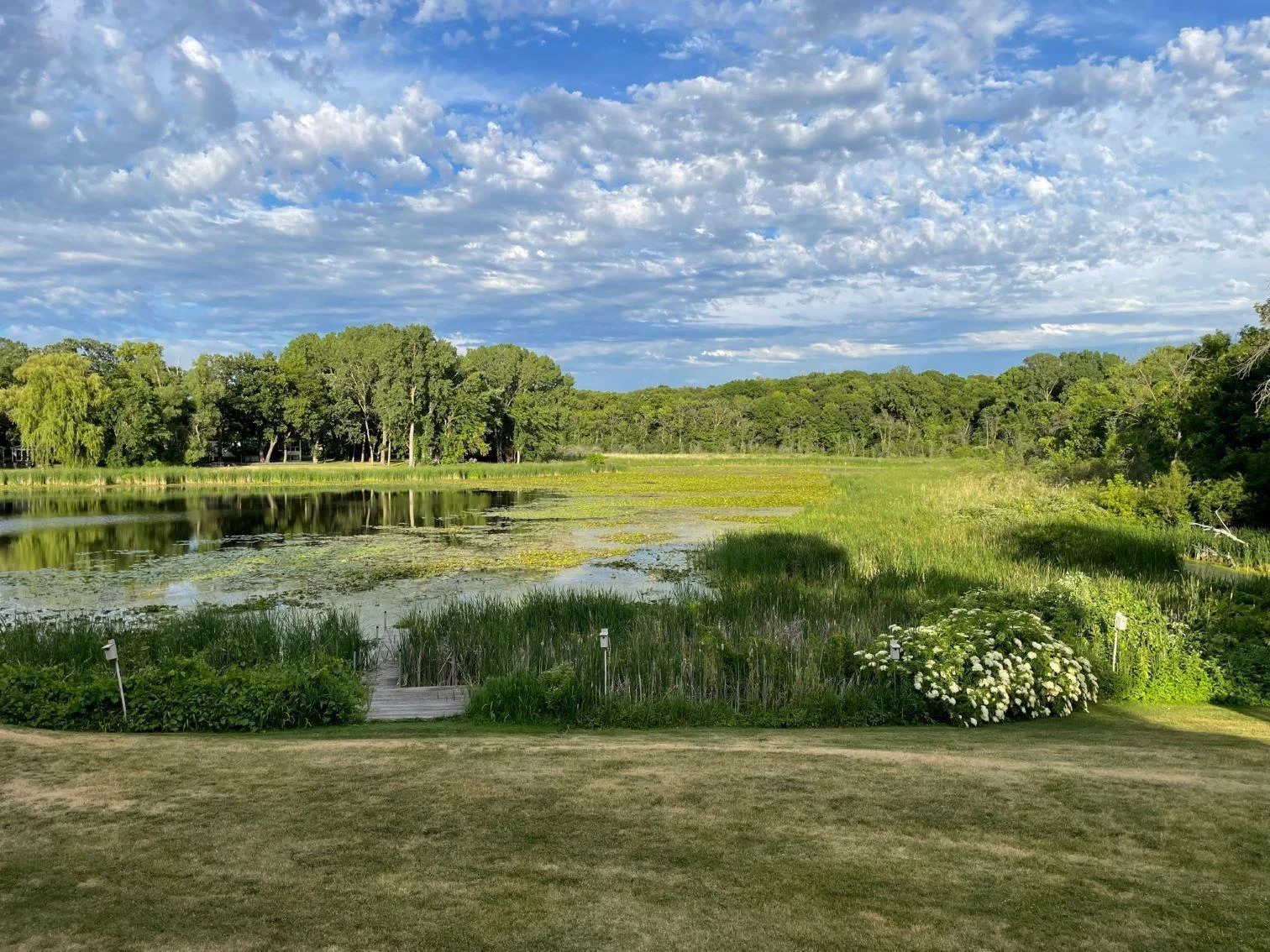 Spectacular Lake Views & Privacy