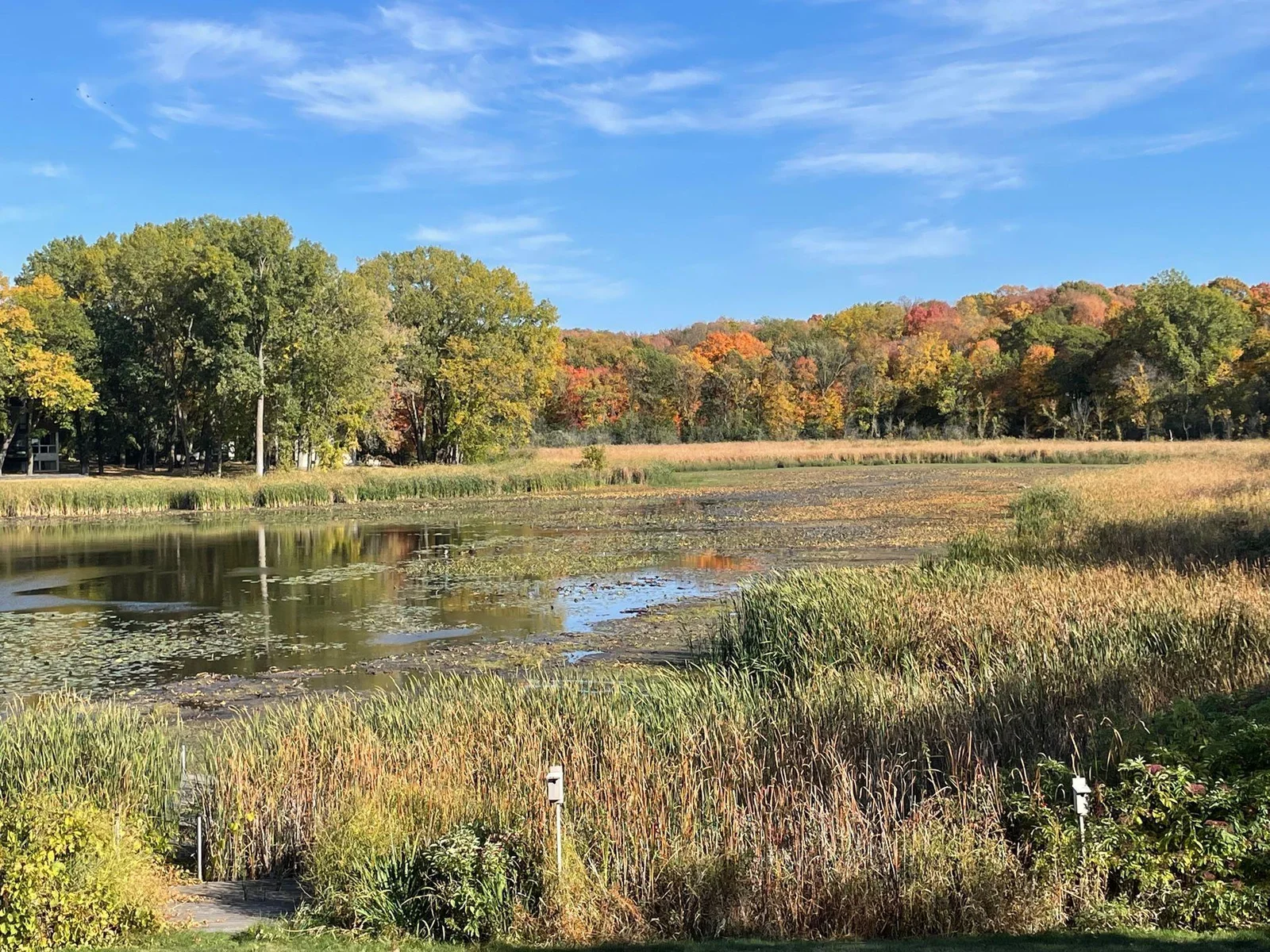 Fall Views