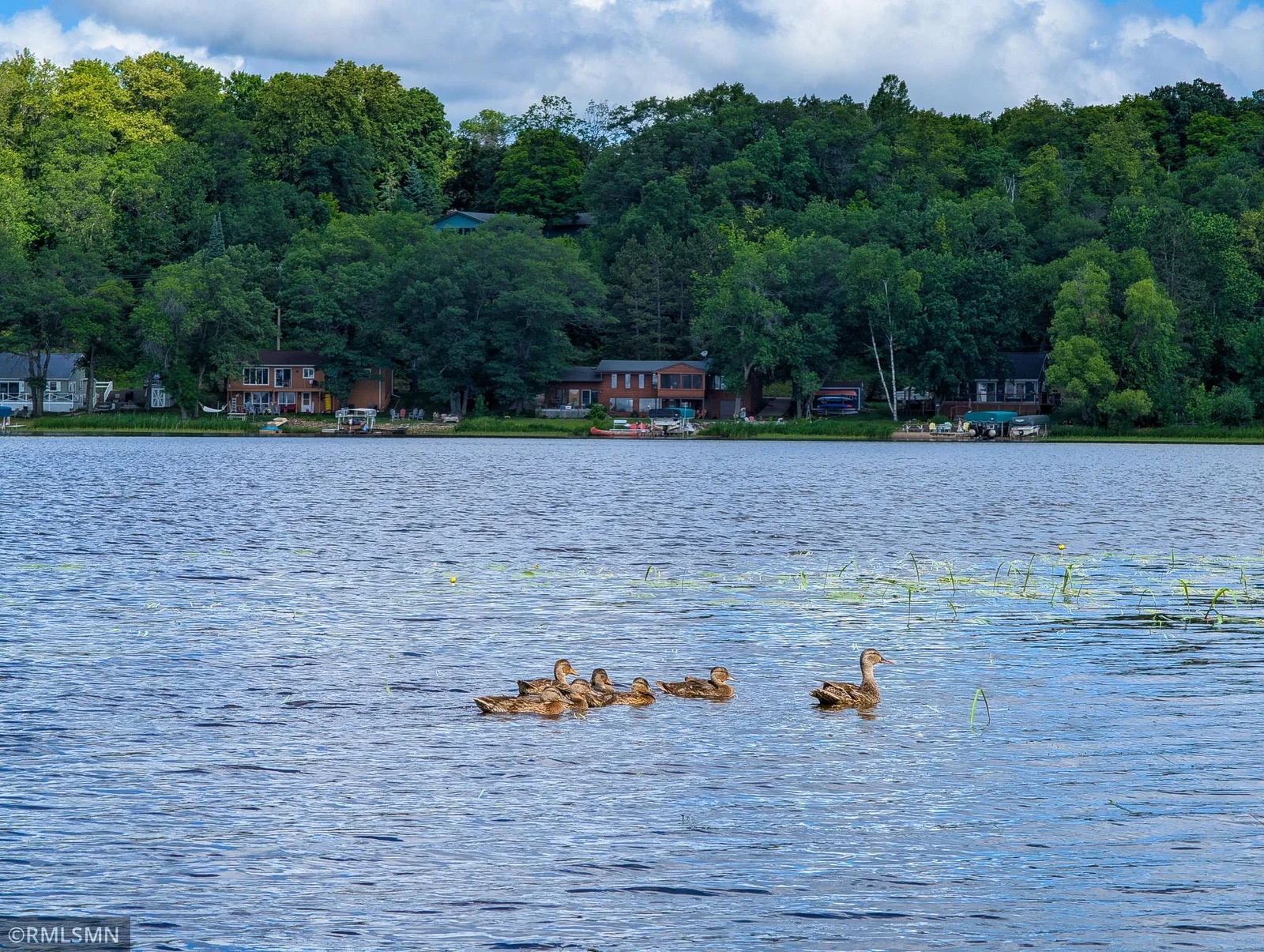 A view west from the shoreline.