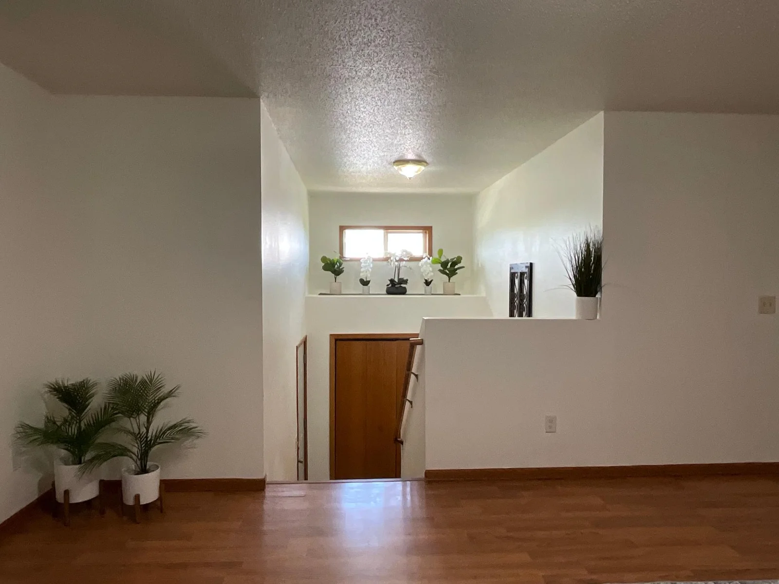 View from Living Room.jpg