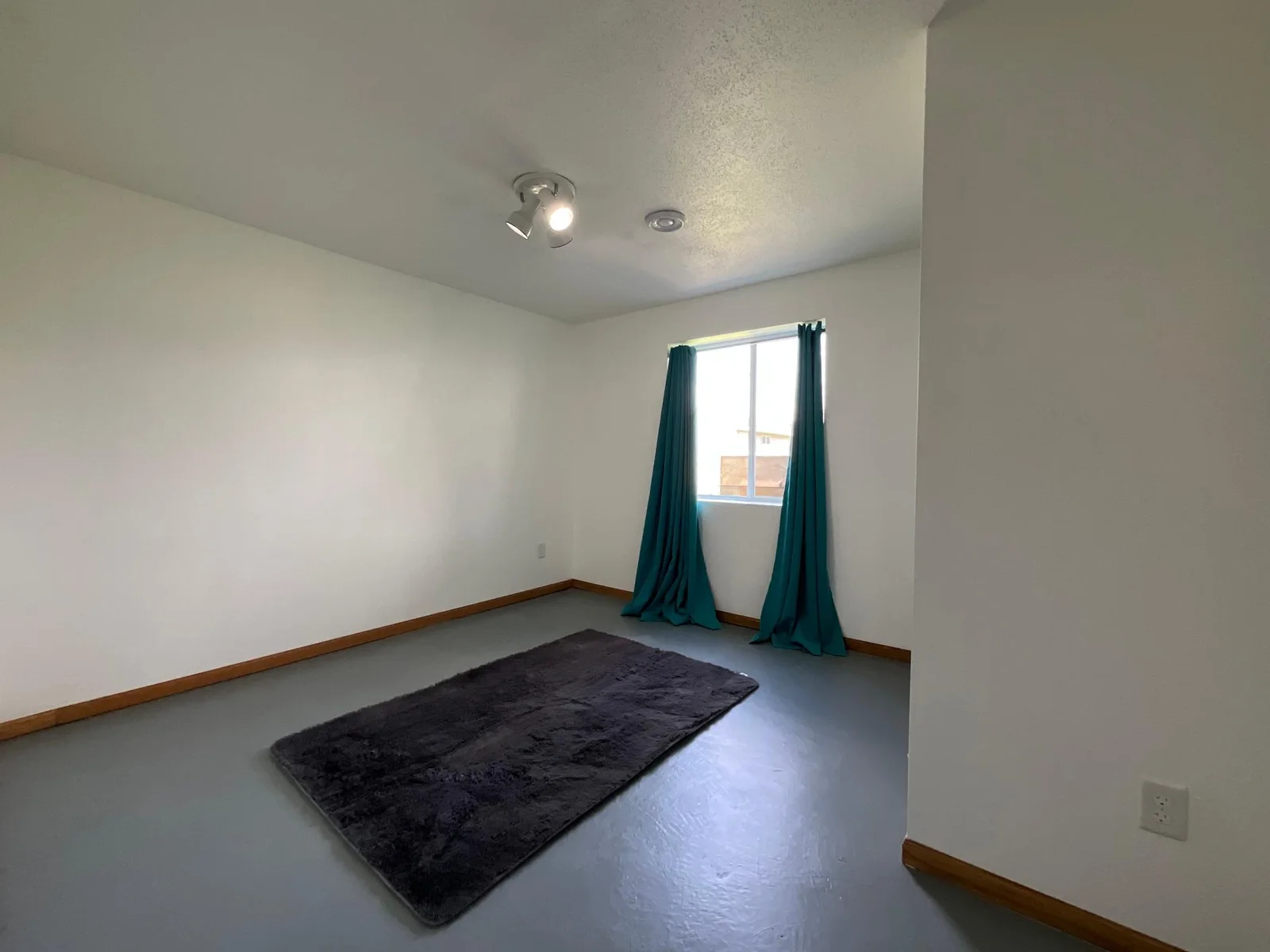 Bedroom 3 Lower Level.jpg