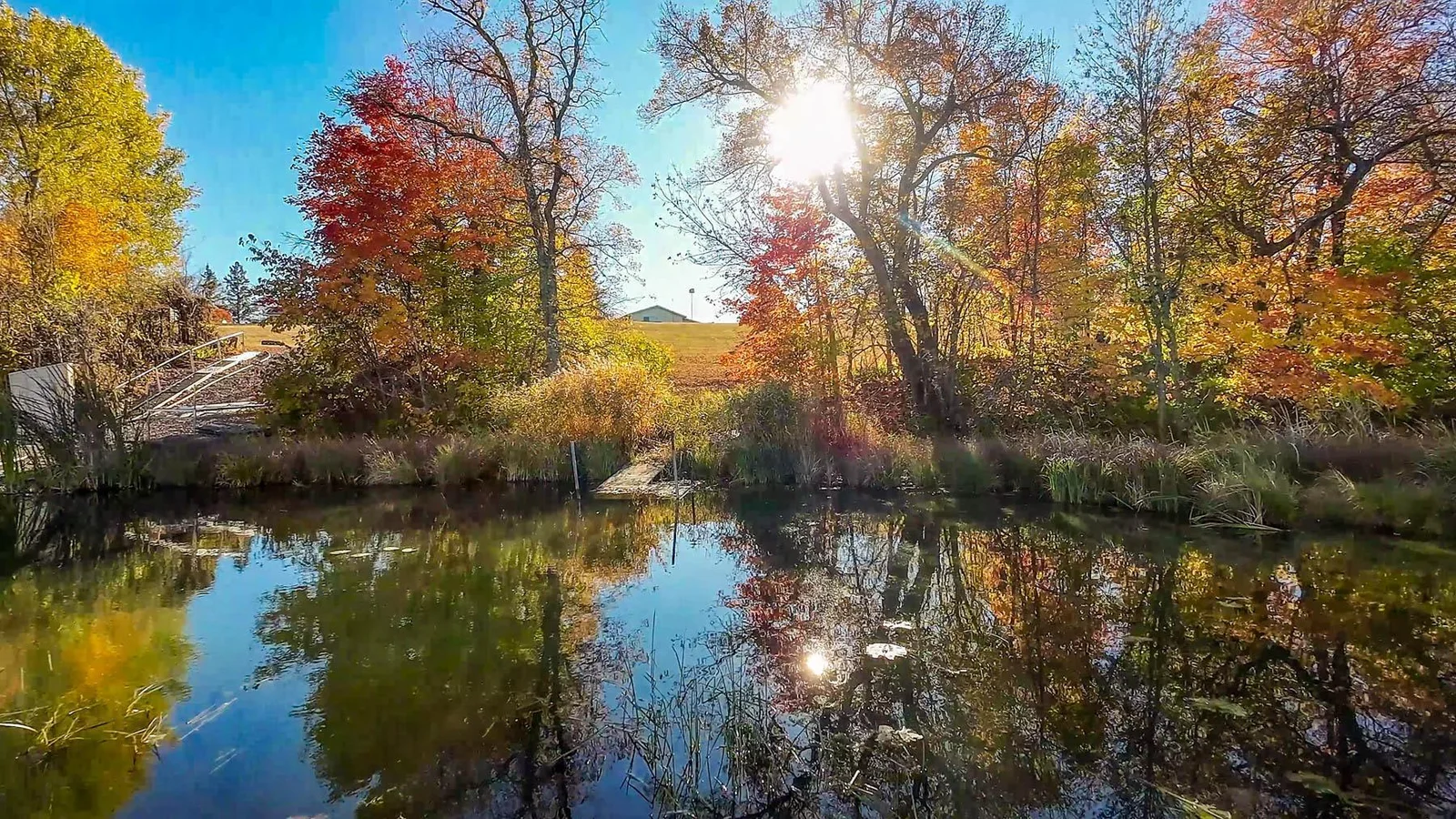 Fall