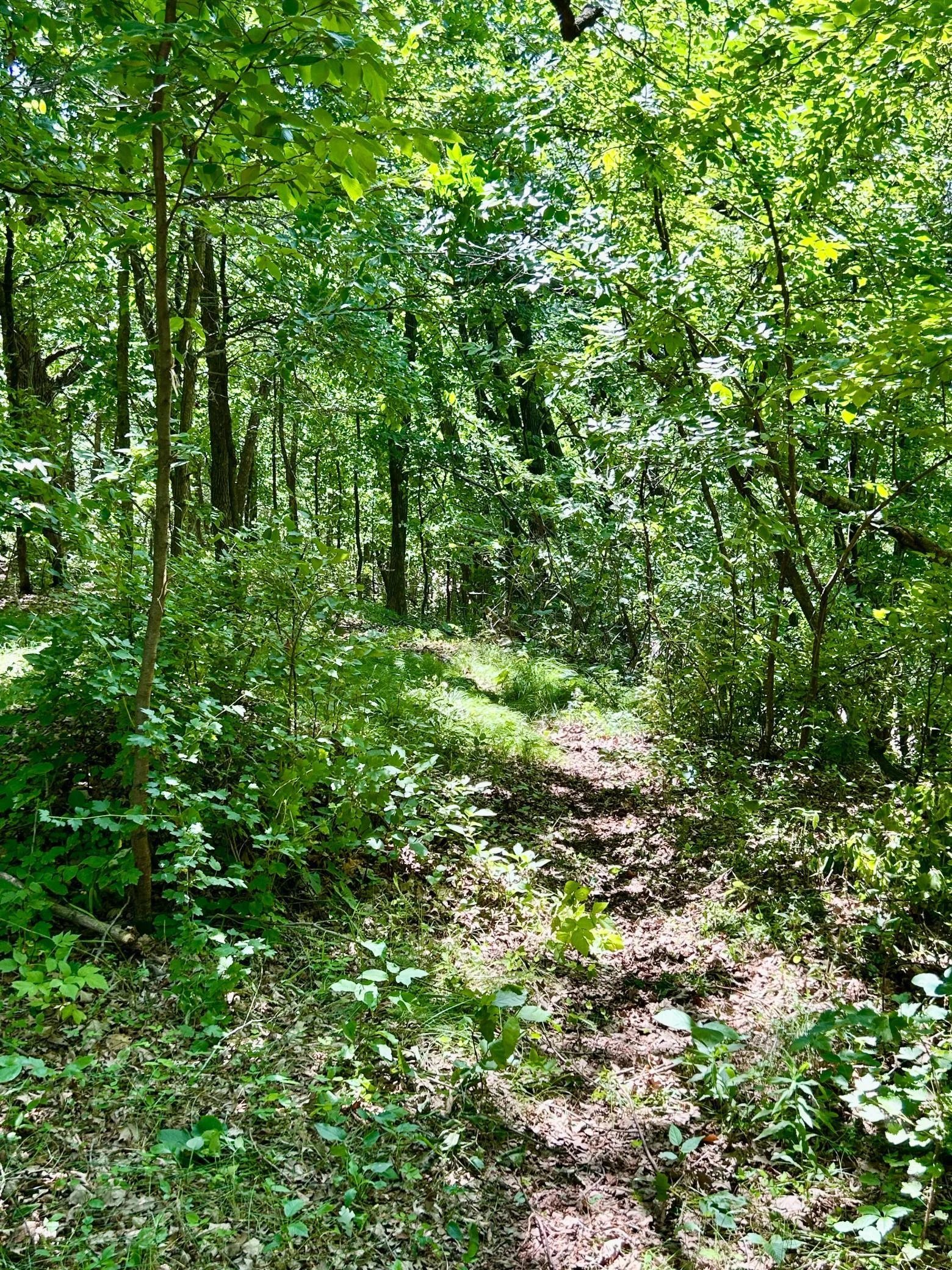 IMG_9776.jpg