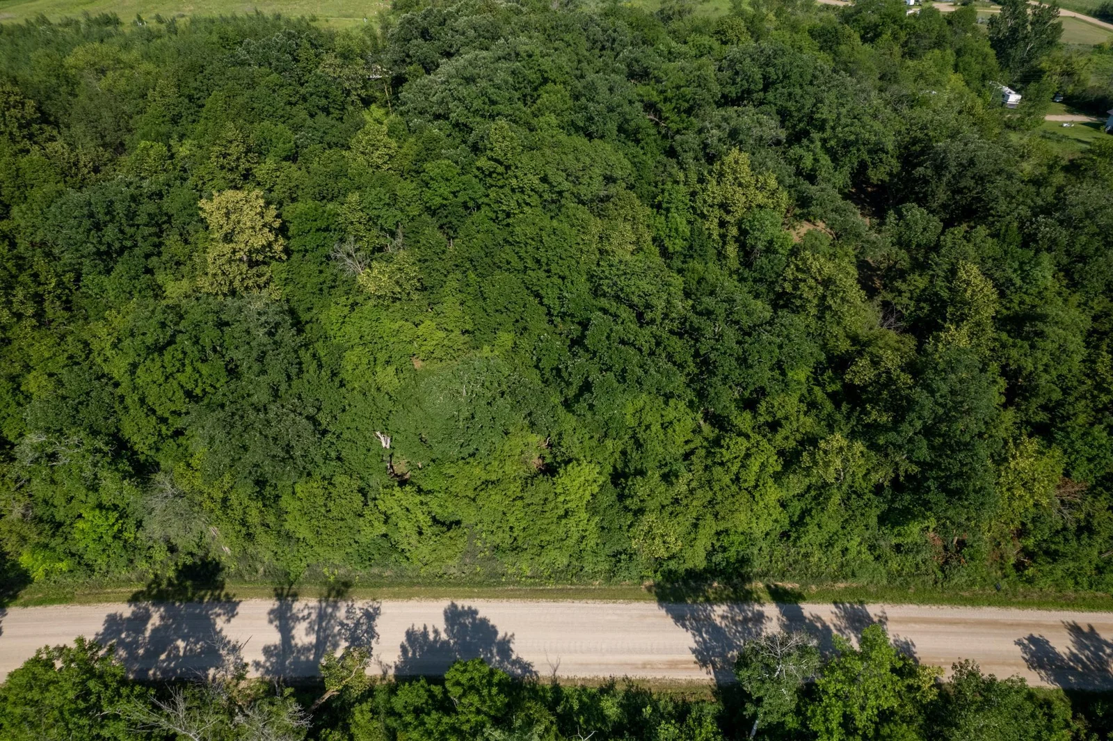 41937 360th St NYM Rush Lake-18.jpg