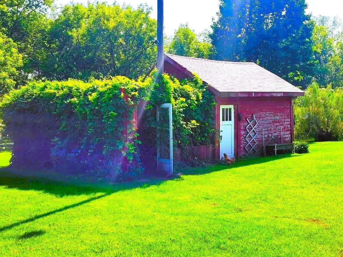 Chicken Coop and Machine Shed