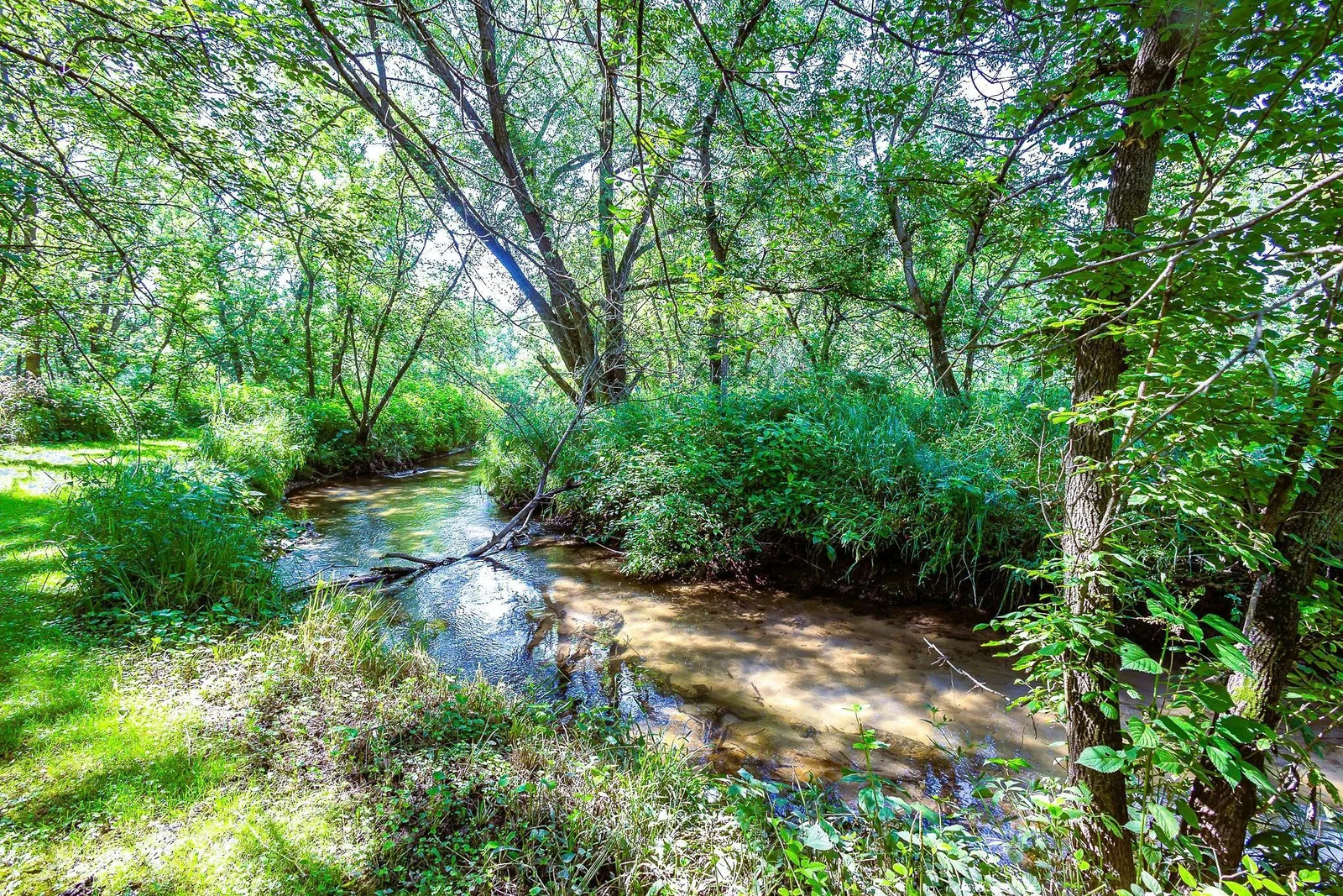 Wilson Creek - Get your rod!
