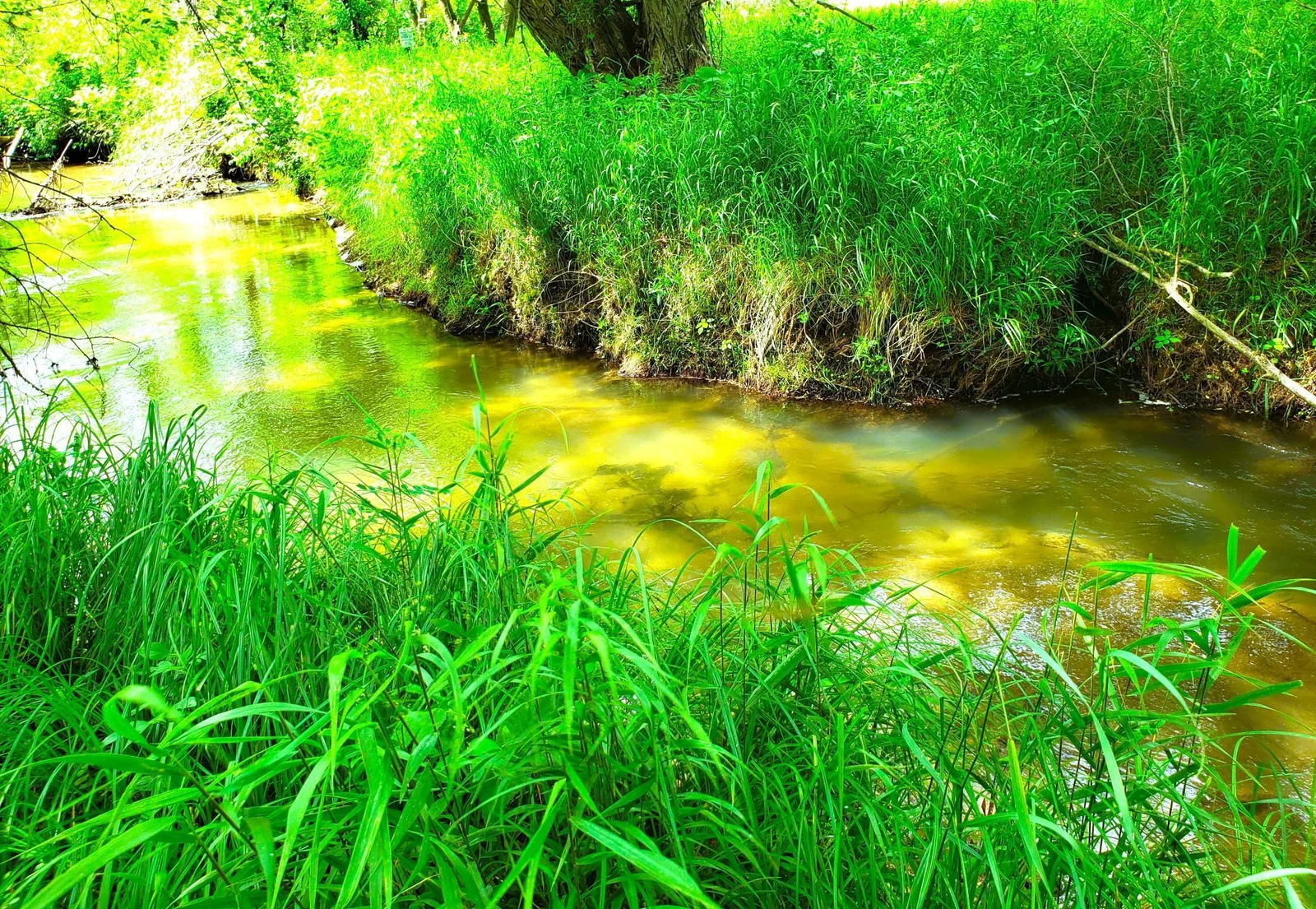 Wilson Creek - Cast your line!