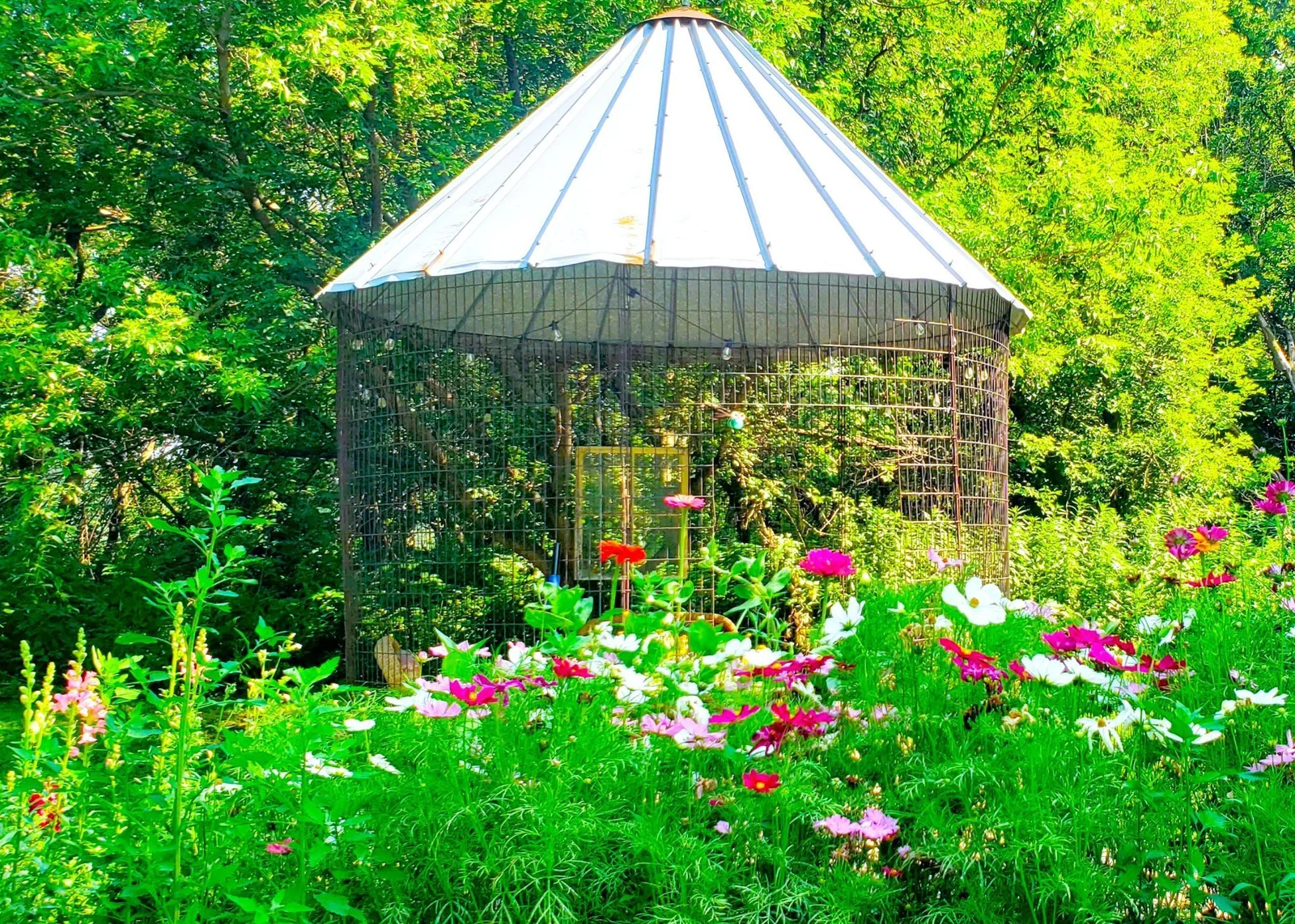 Crop cage