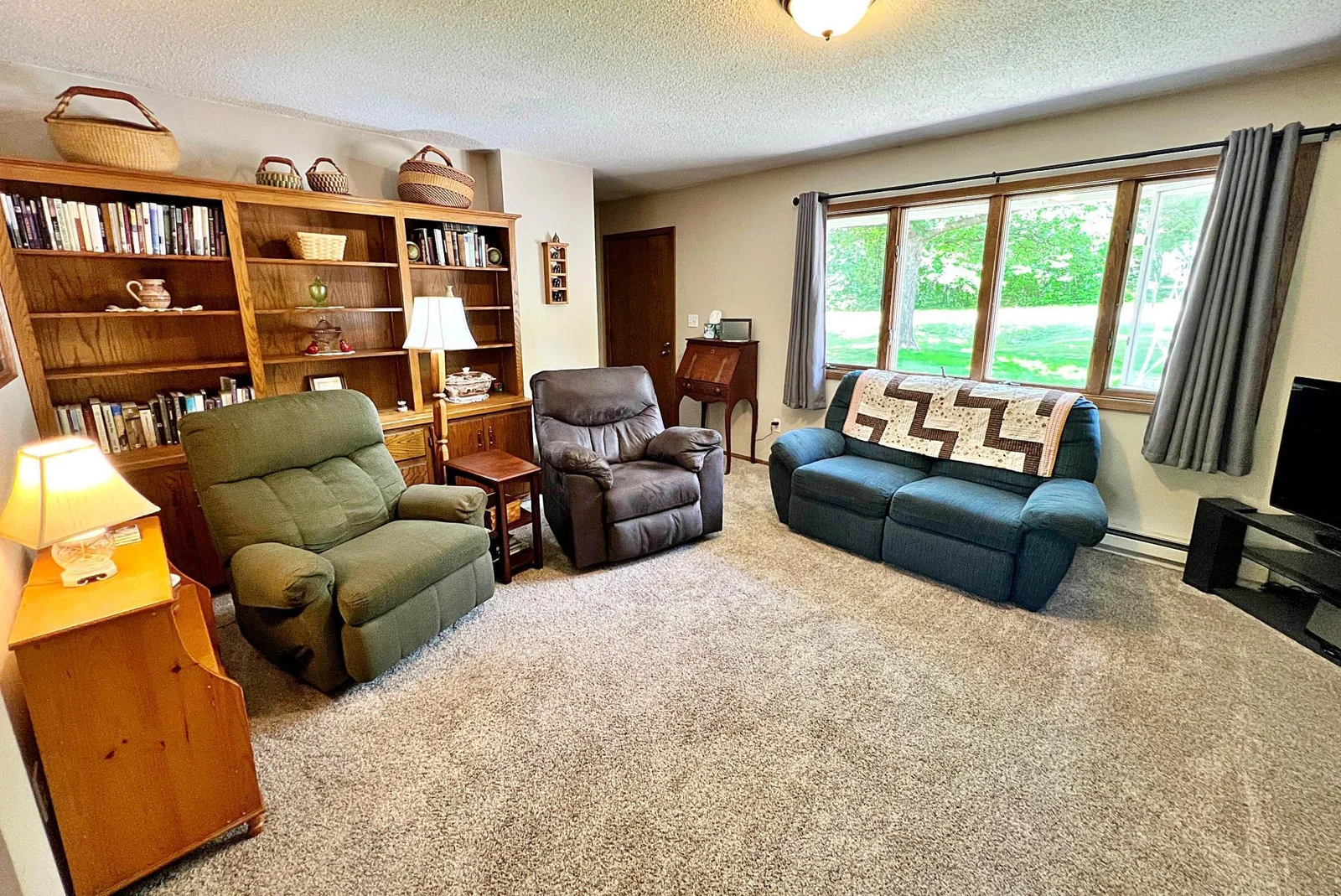 Living room .jpg