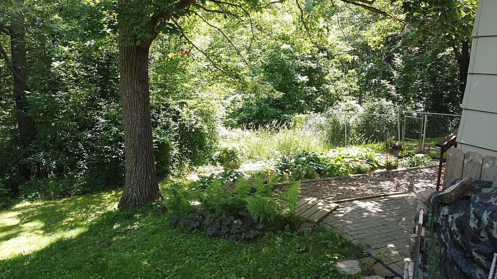 Patio area in backyard wooded backdrop.jpg