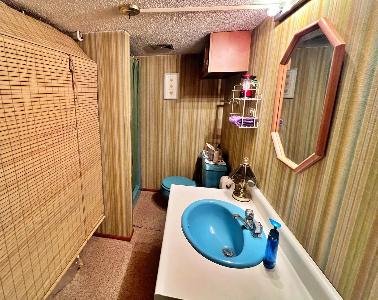 3/4 Bathroom in Lower level.jpg