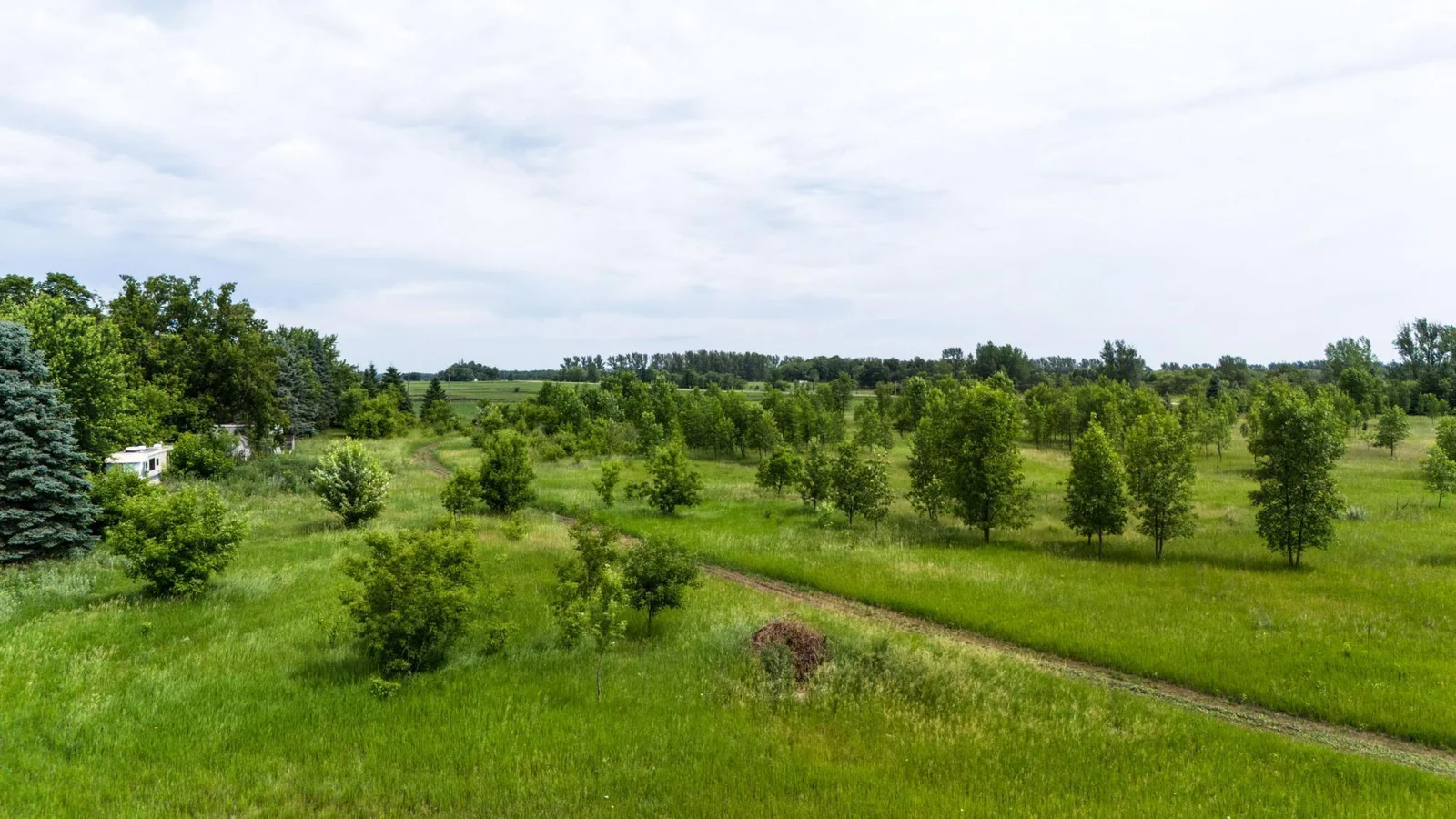 7.39-Acre Lot on the Long Prairie River! Discover your own private escape with 7.39 acres of beautiful land along the Long Prairie River.